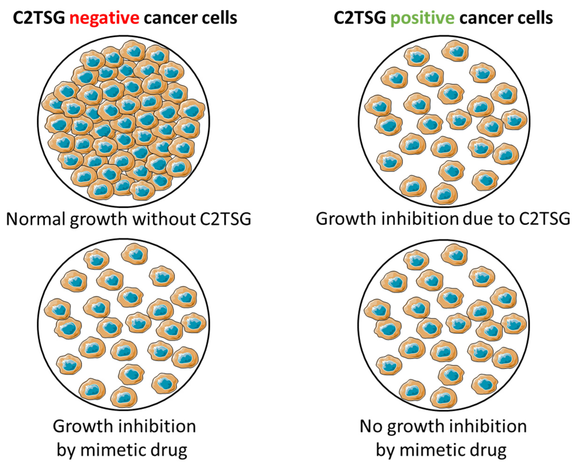 Cancers 14 04386 g006