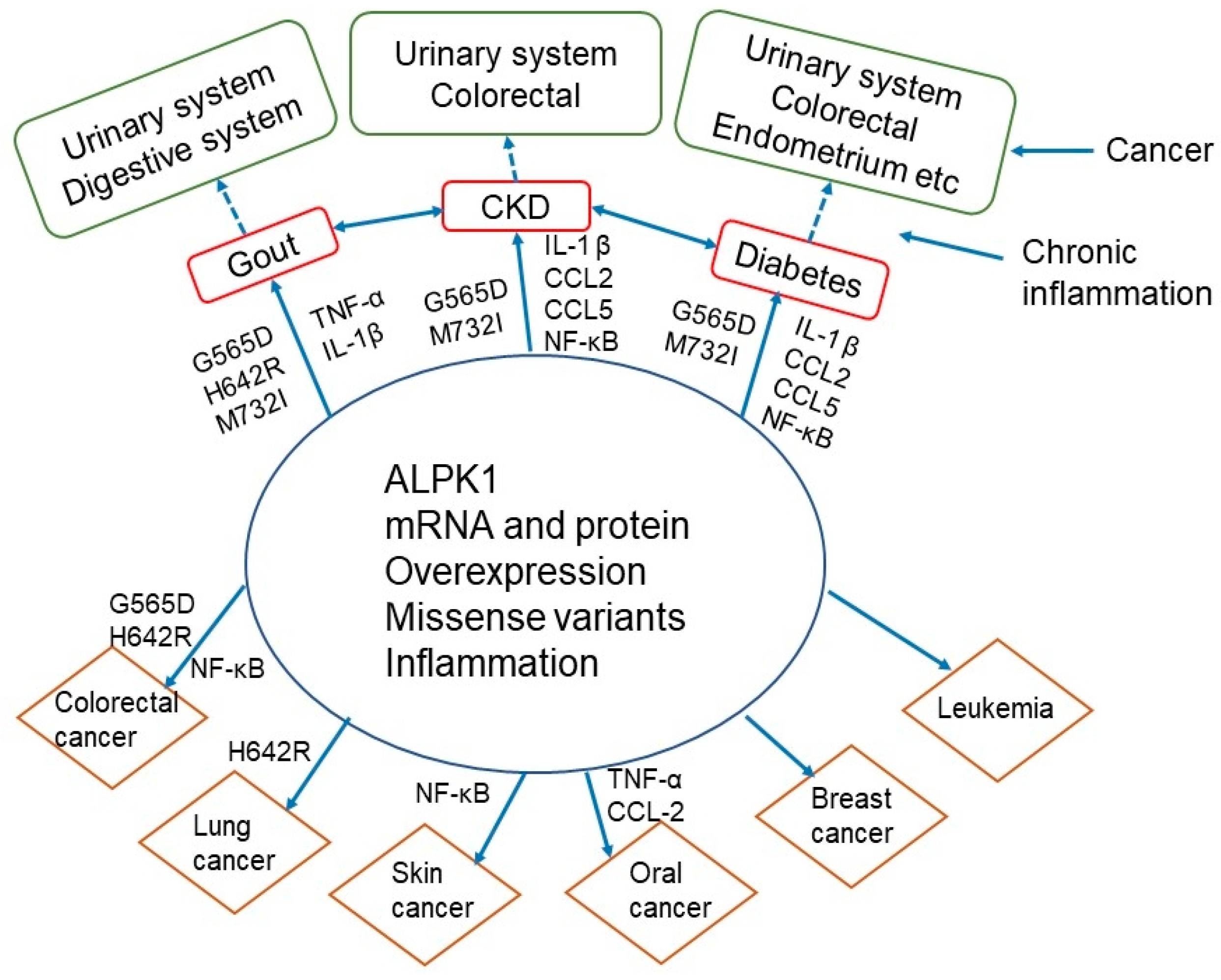 Cancers 14 04390 g003 Cancers 14 04390 g003