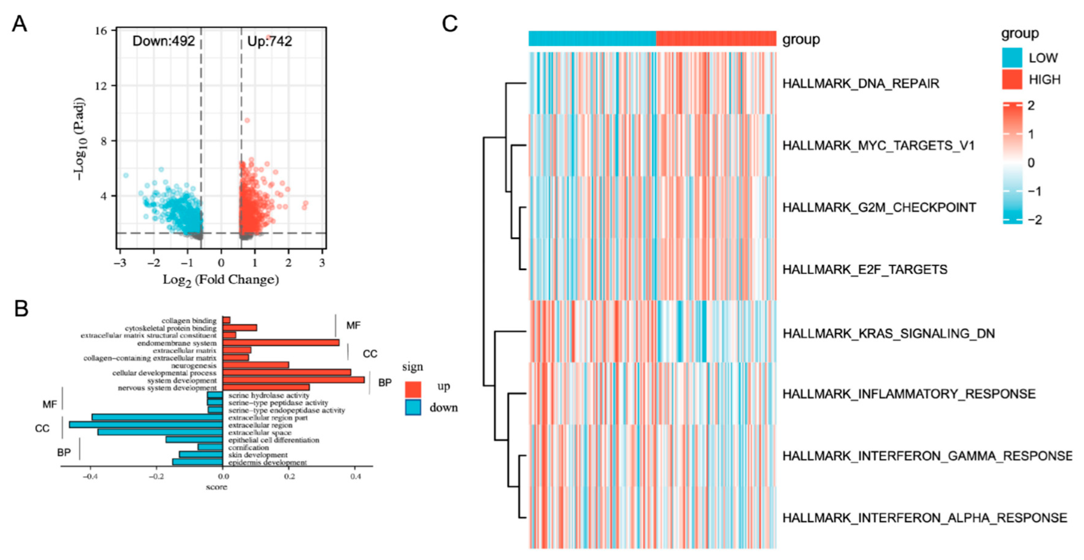 Cancers 14 04395 g003