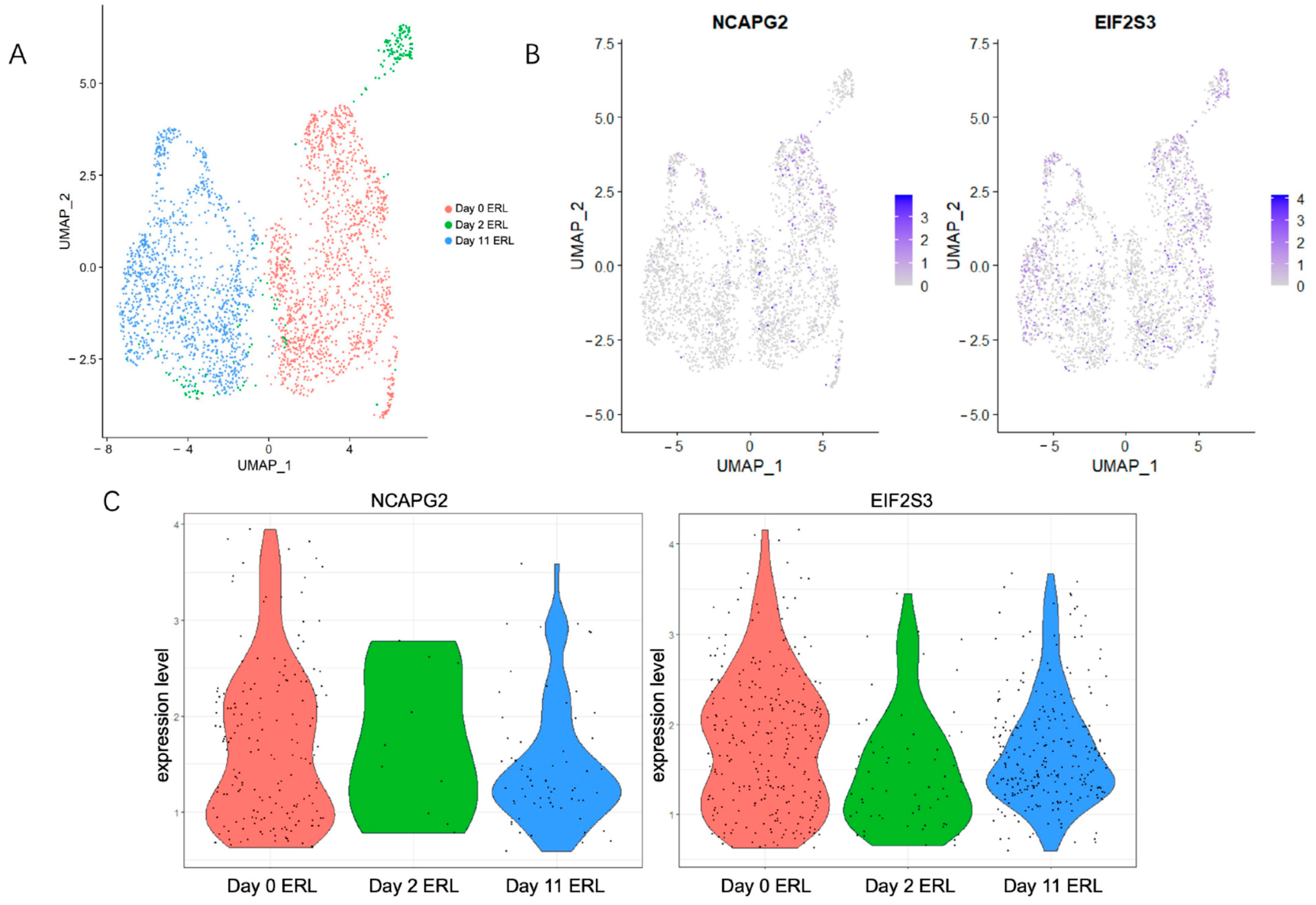 Cancers 14 04395 g007