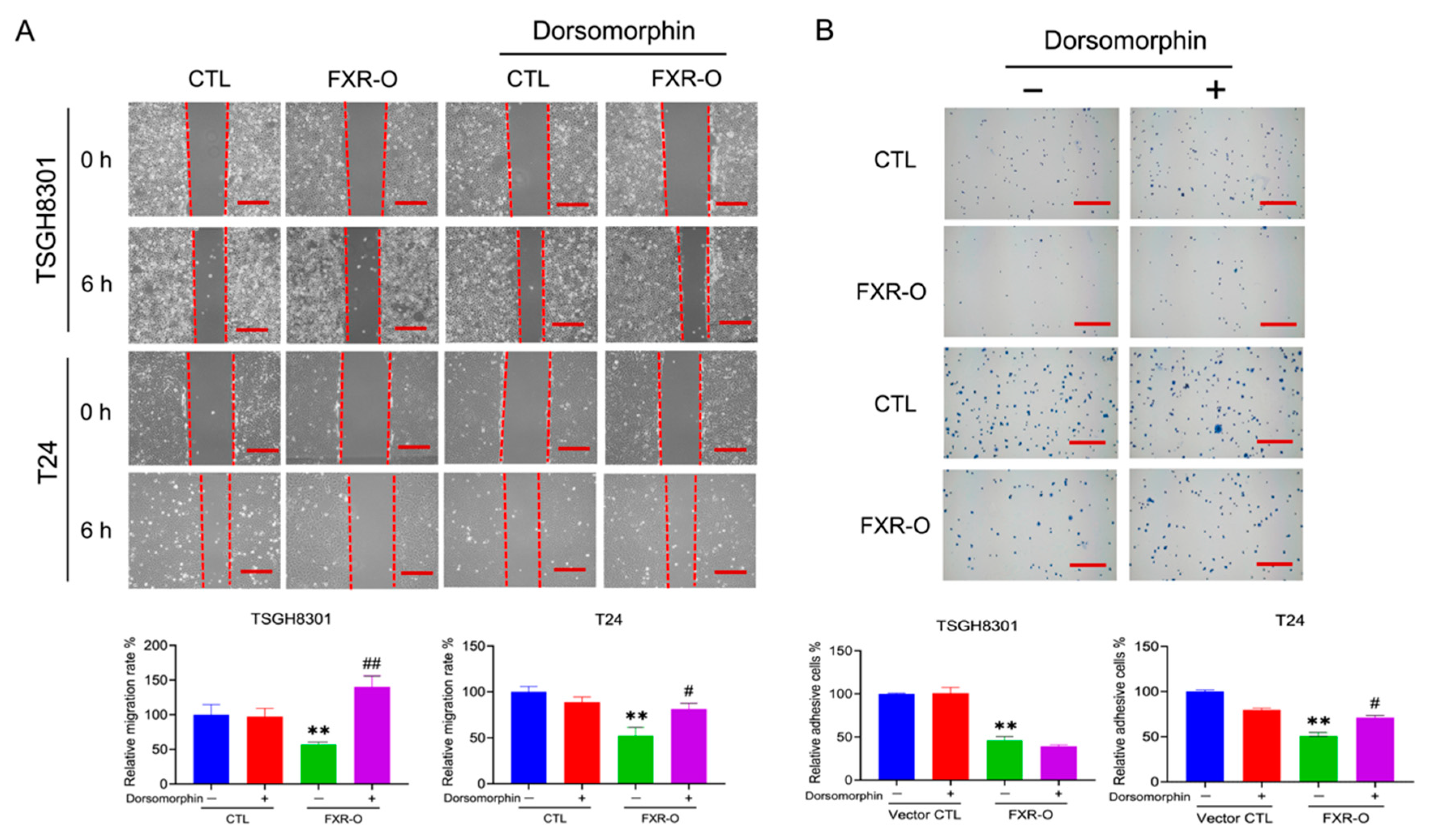 Cancers 14 04398 g002
