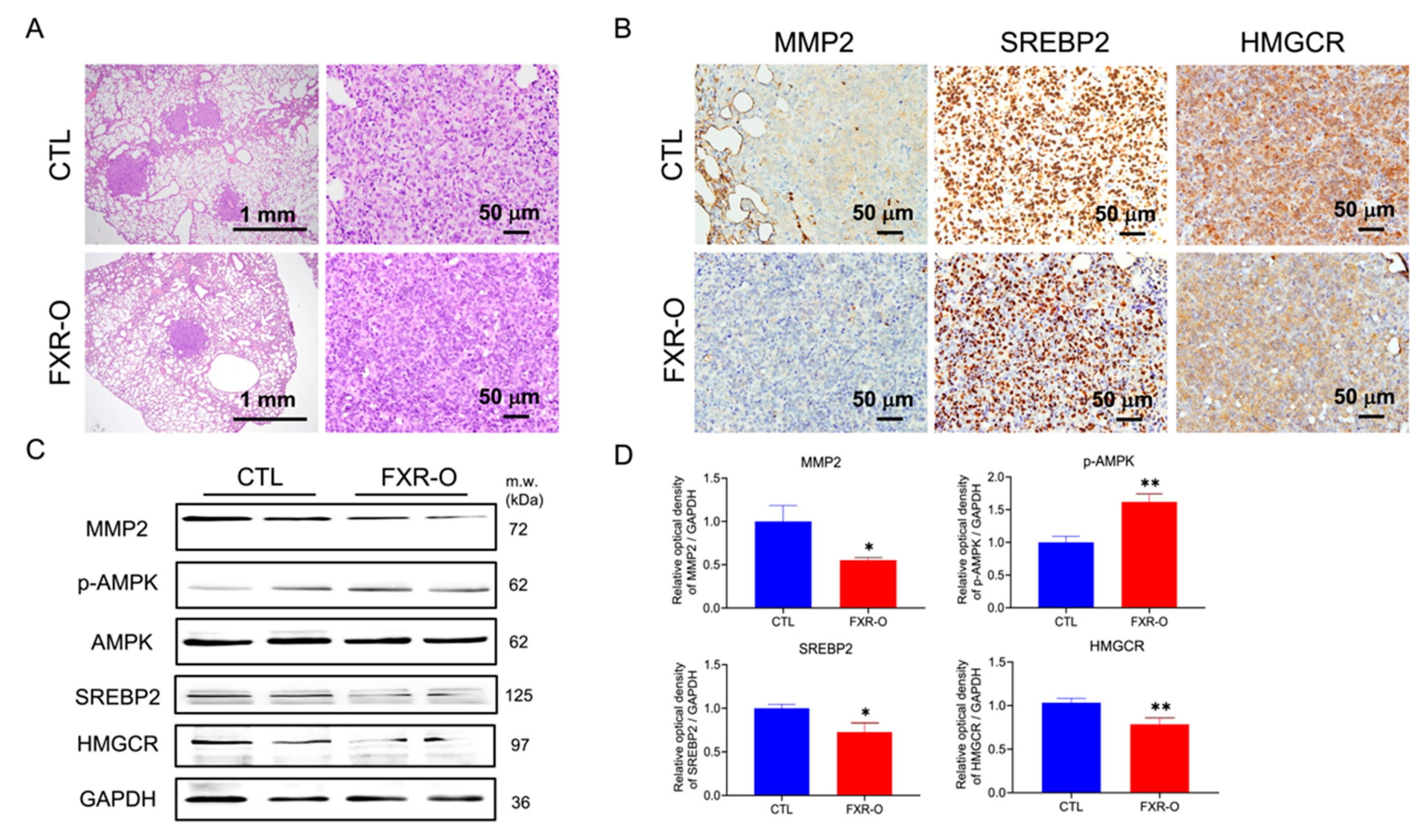 Cancers 14 04398 g005