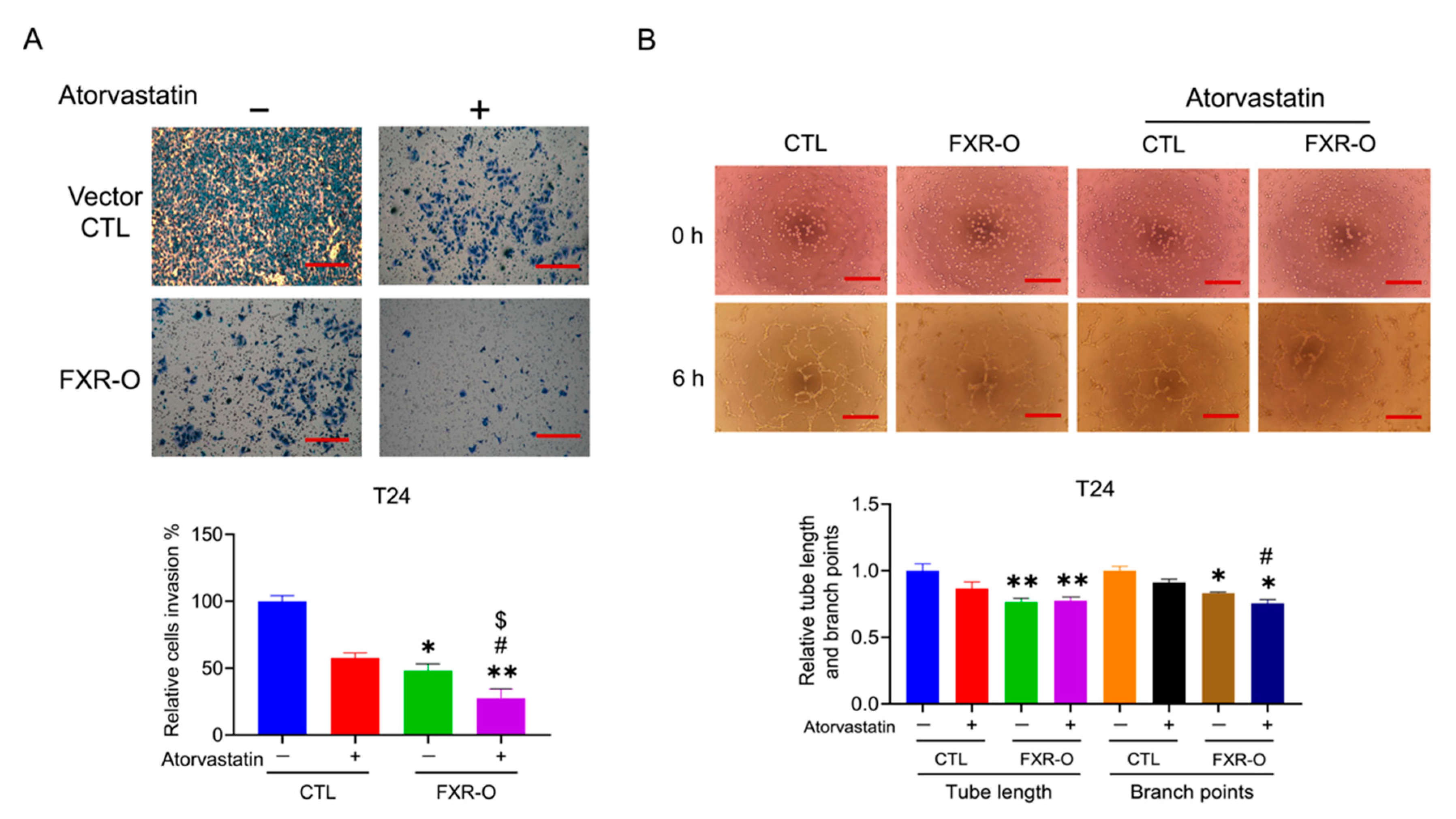 Cancers 14 04398 g007
