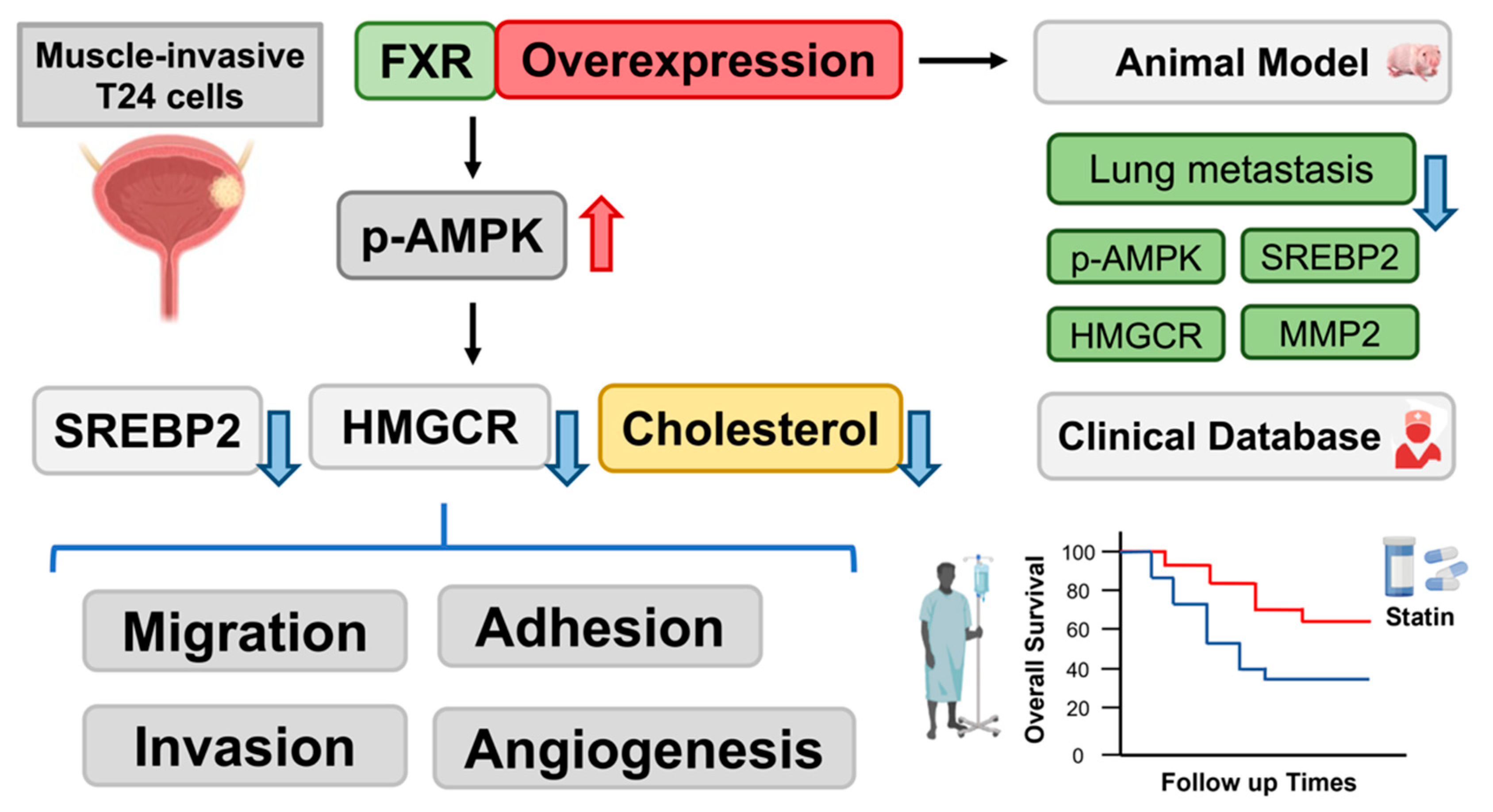 Cancers 14 04398 g009