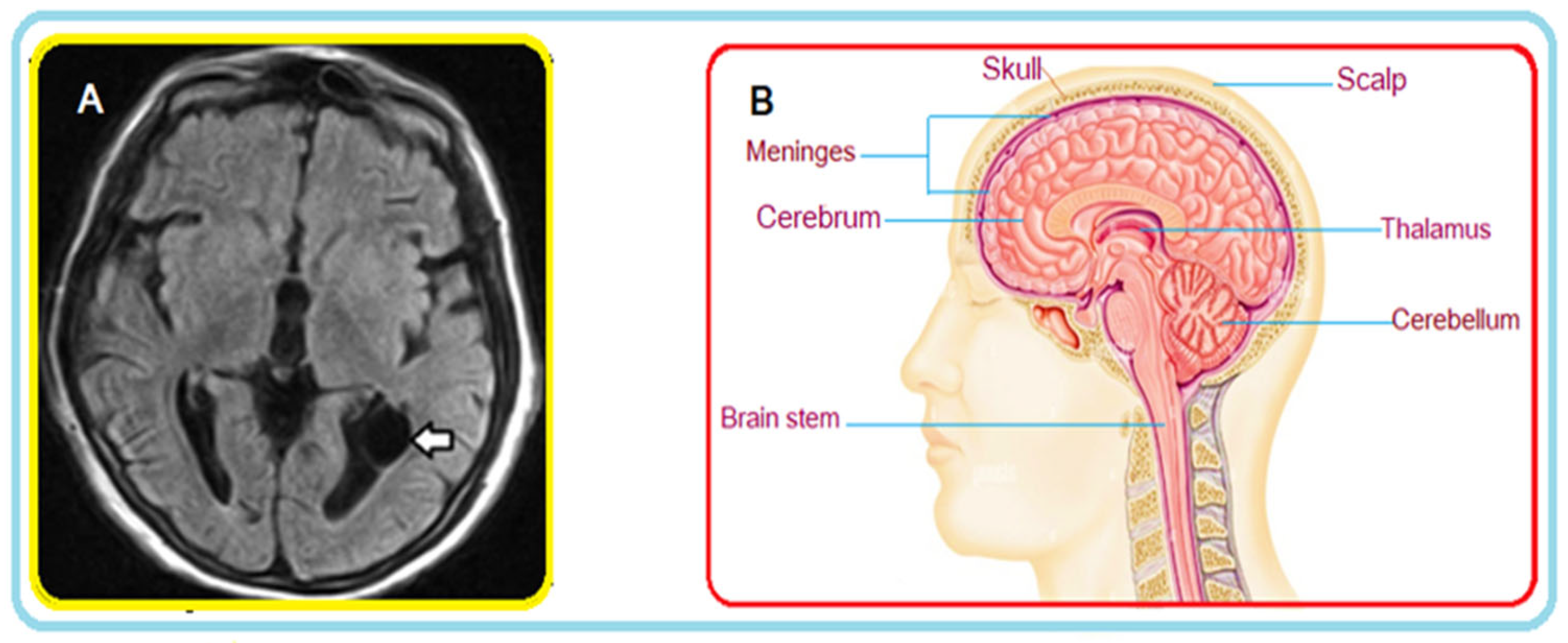 Cancers 14 04399 g001 Cancers 14 04399 g001