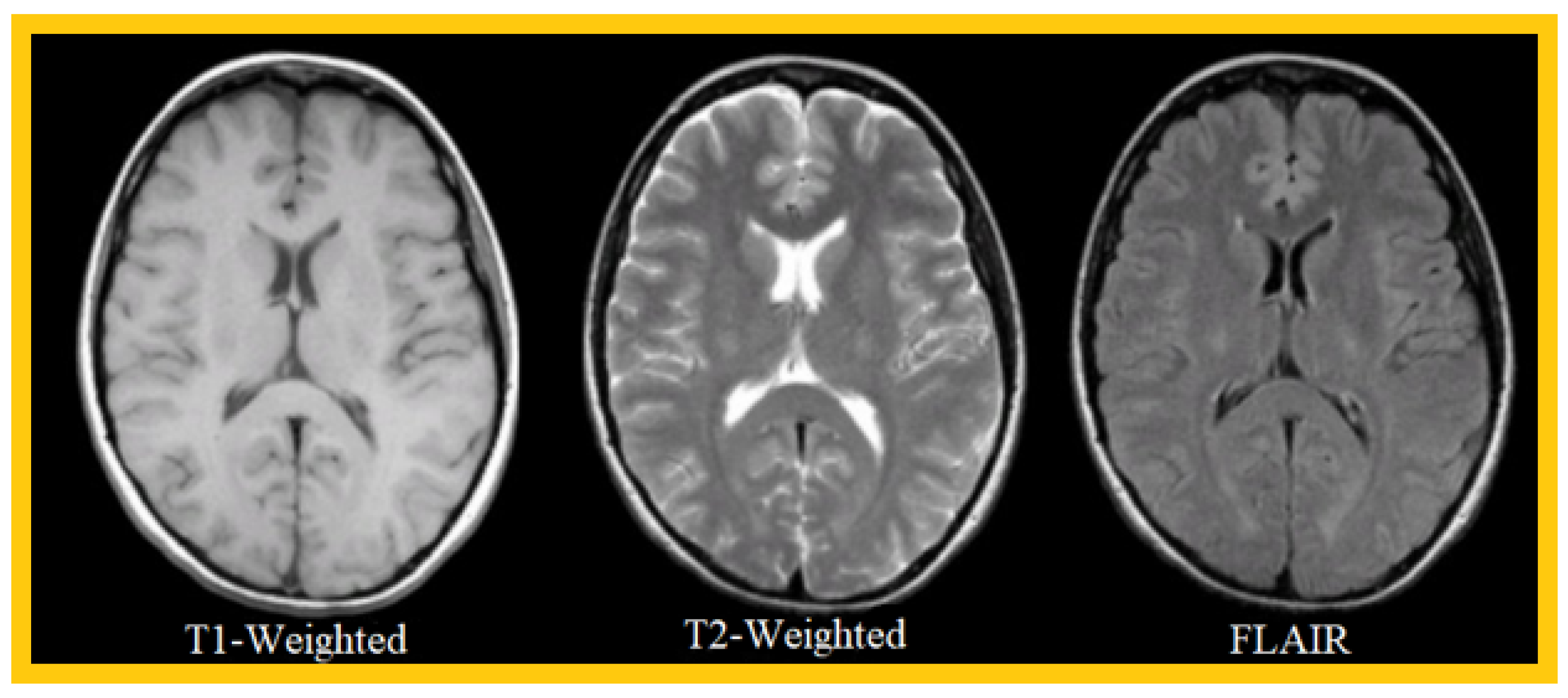 Cancers 14 04399 g002 Cancers 14 04399 g002