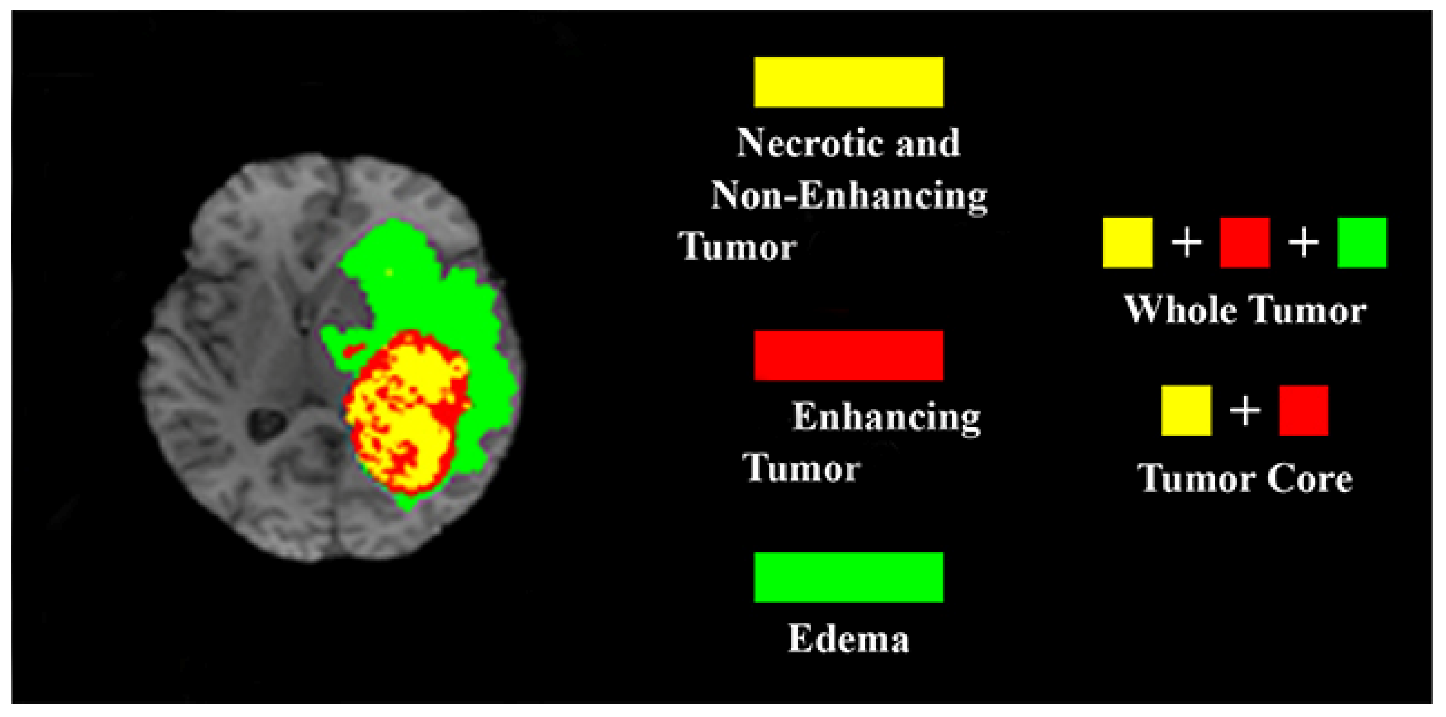 Cancers 14 04399 g016 Cancers 14 04399 g016