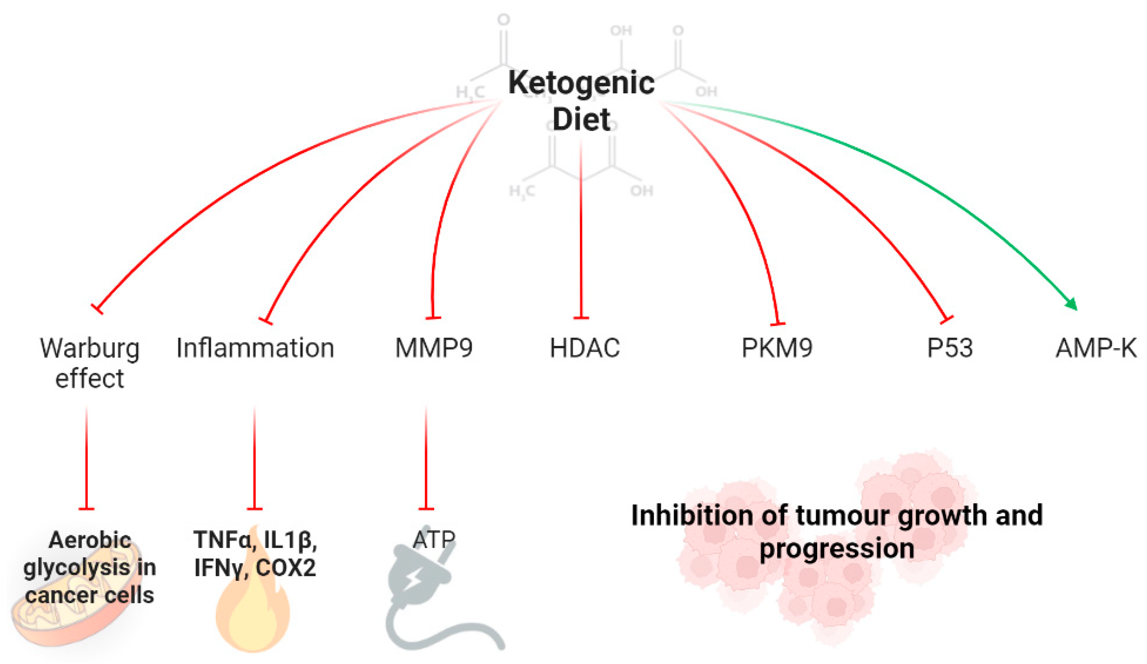 Neuroendocrine Tumors A Comprehensive Review on Nutritional Approaches