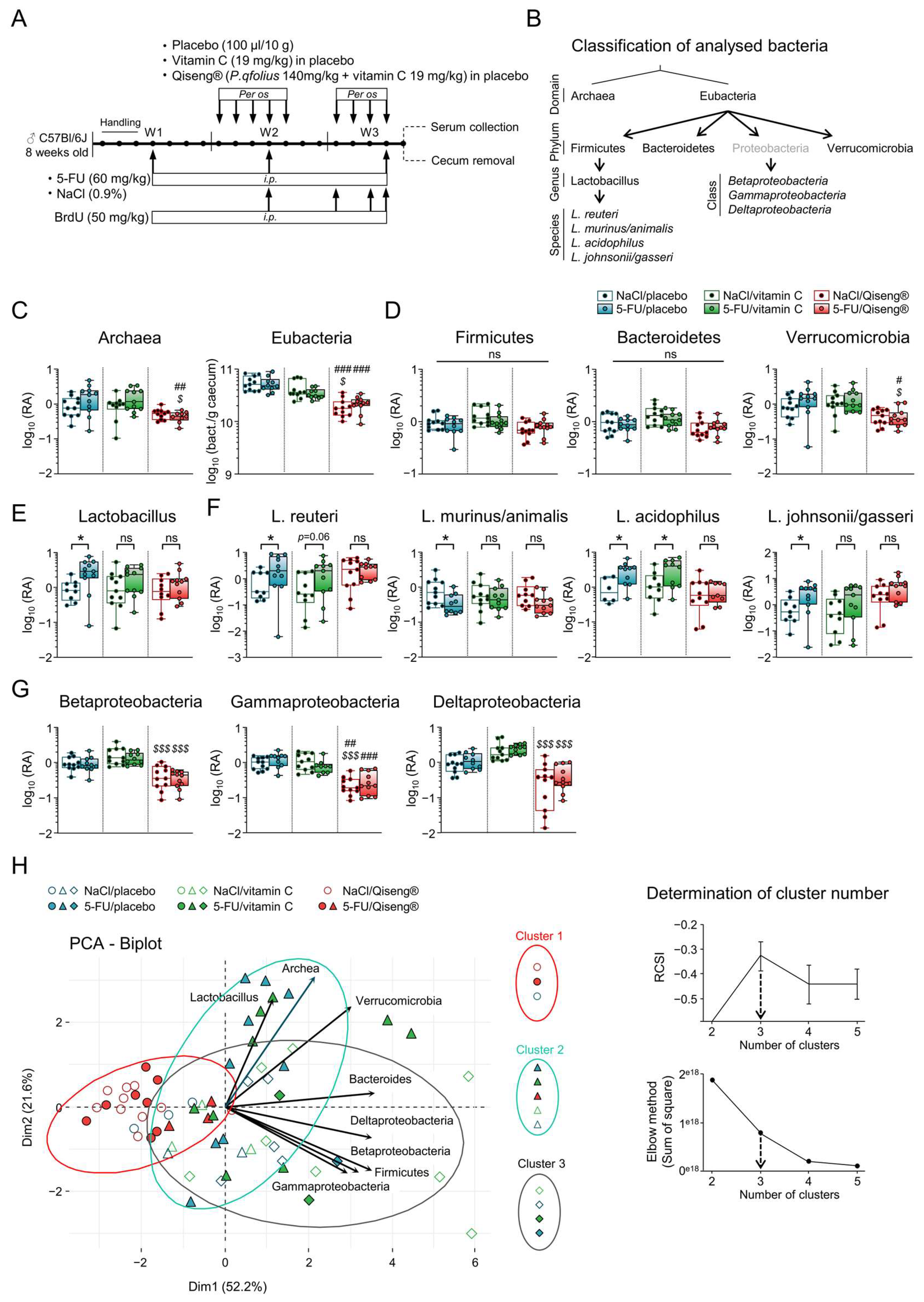 Cancers 14 04403 g005