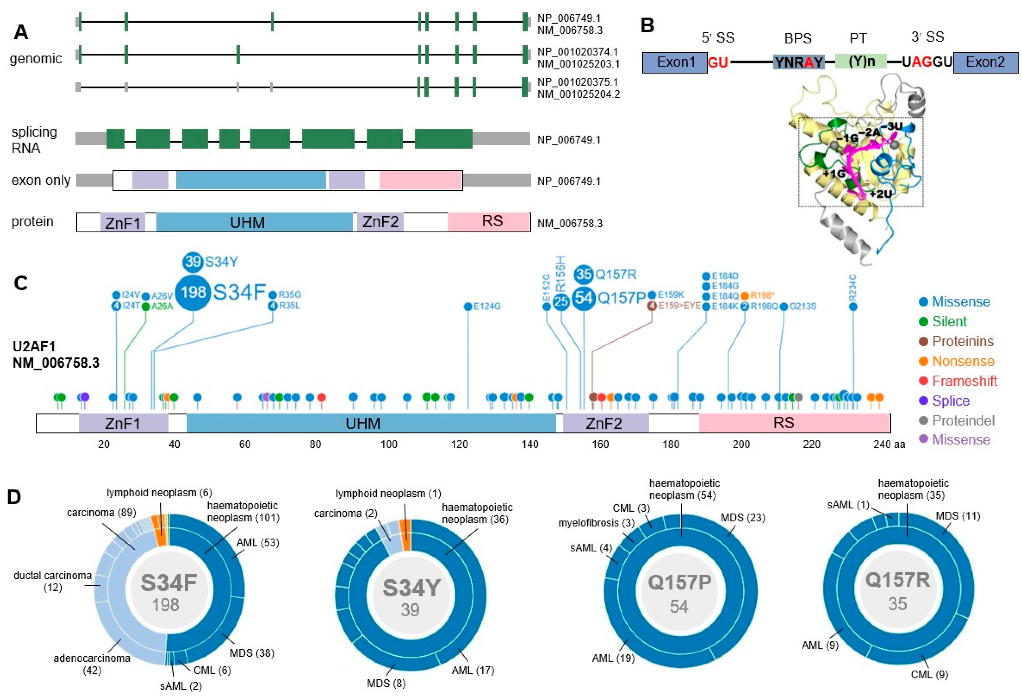 Cancers 14 04406 g002 Cancers 14 04406 g002