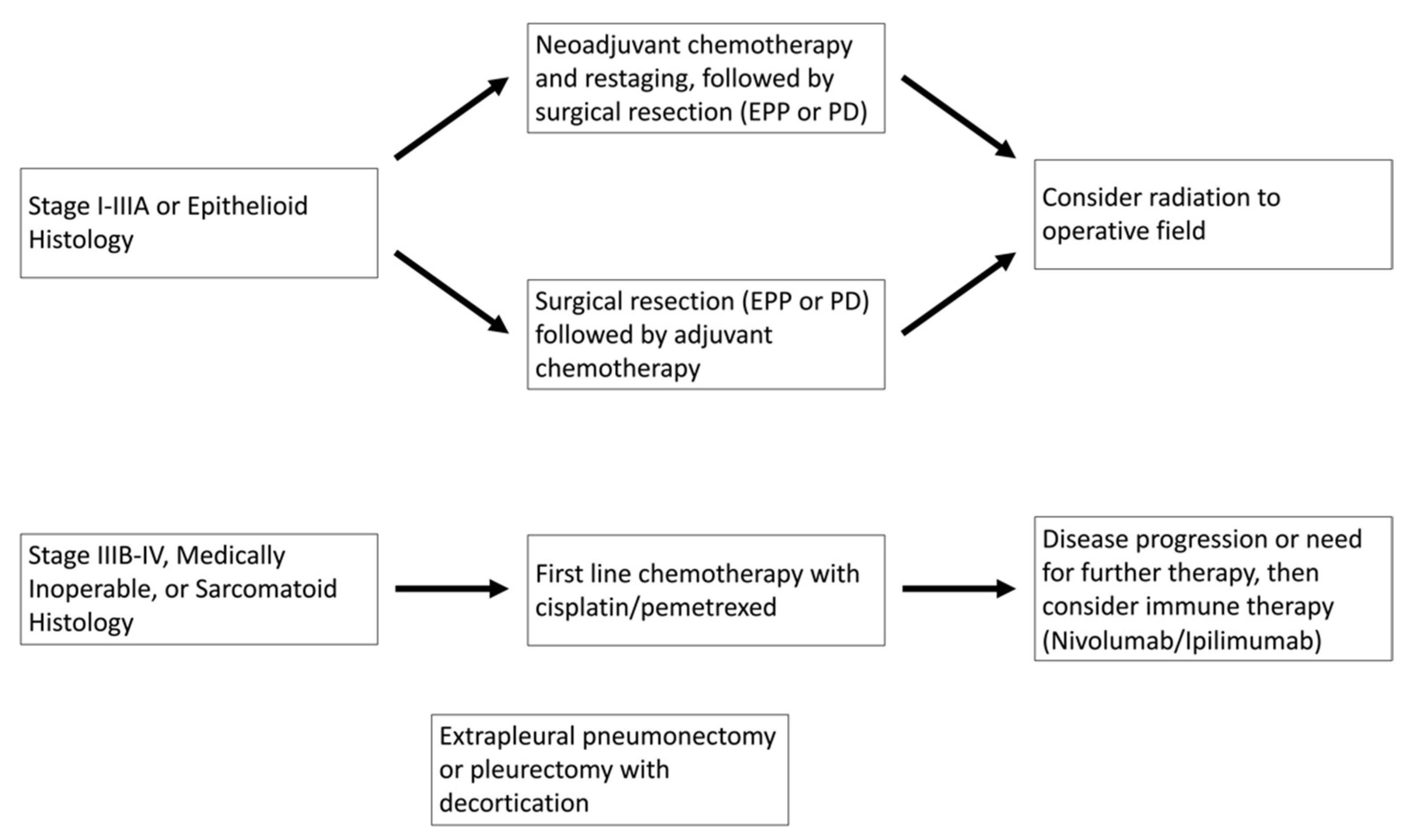 Cancers  Free Full-Text  Malignant Pleural Mesothelioma: Current