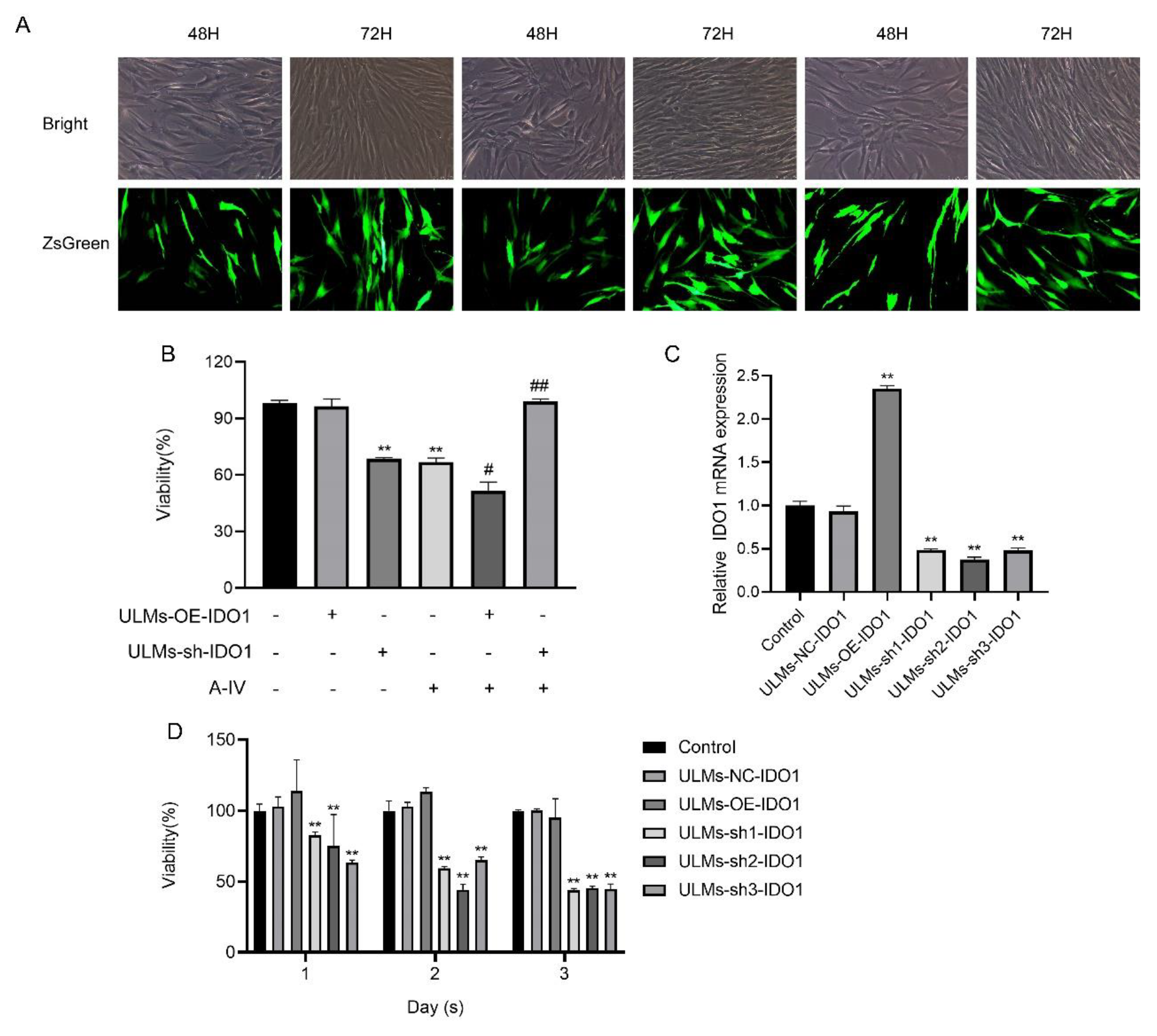Cancers 14 04424 g003