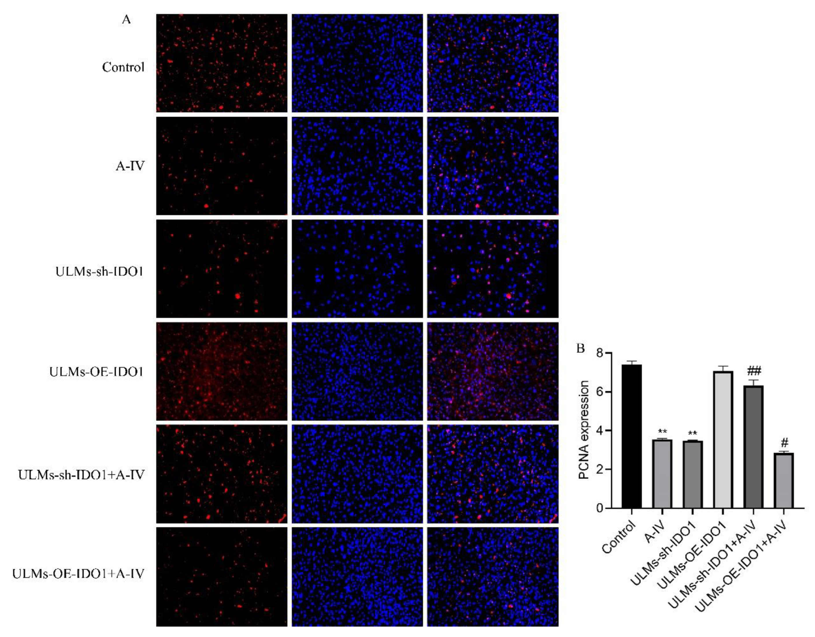 Cancers 14 04424 g004