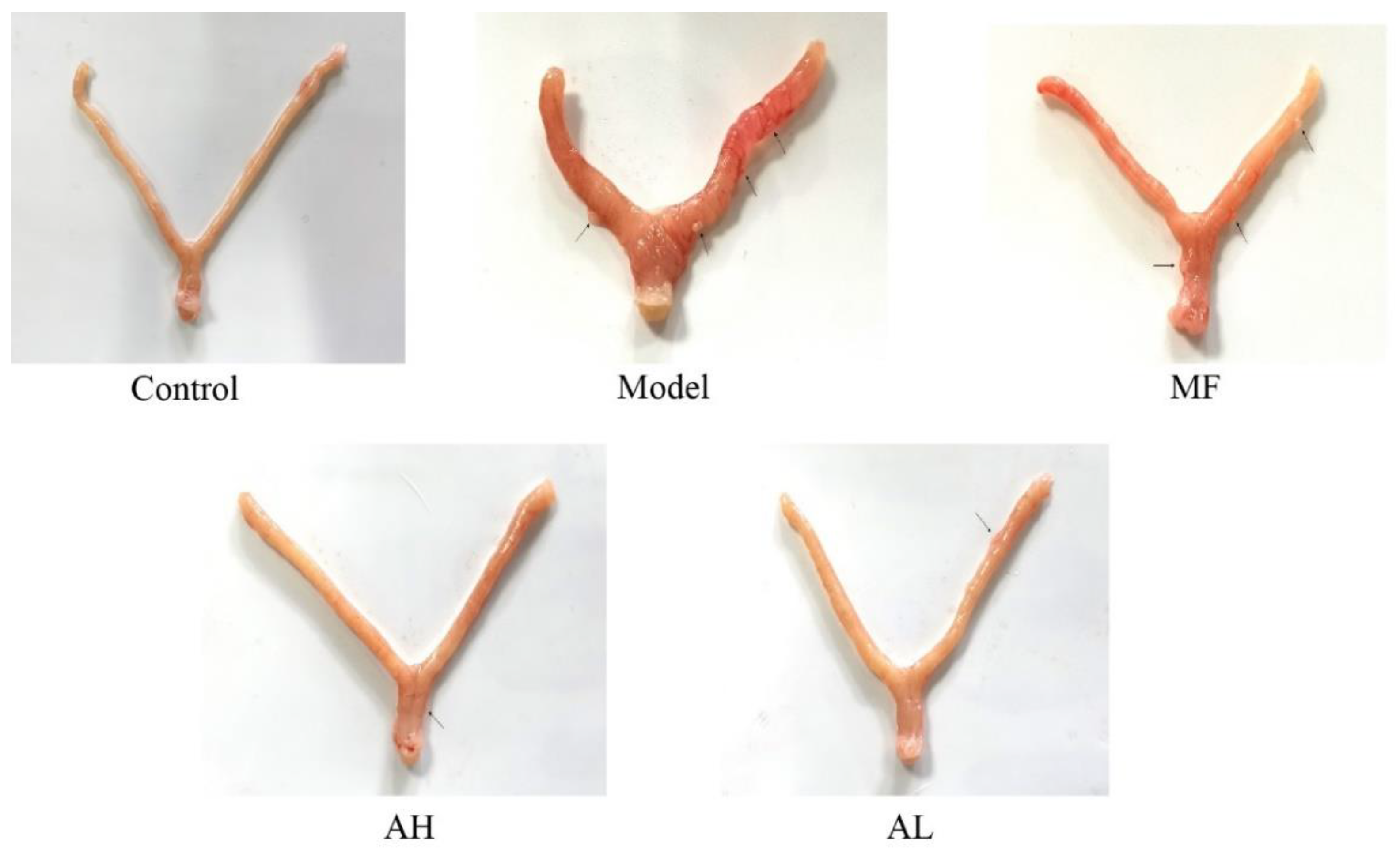 Cancers 14 04424 g006