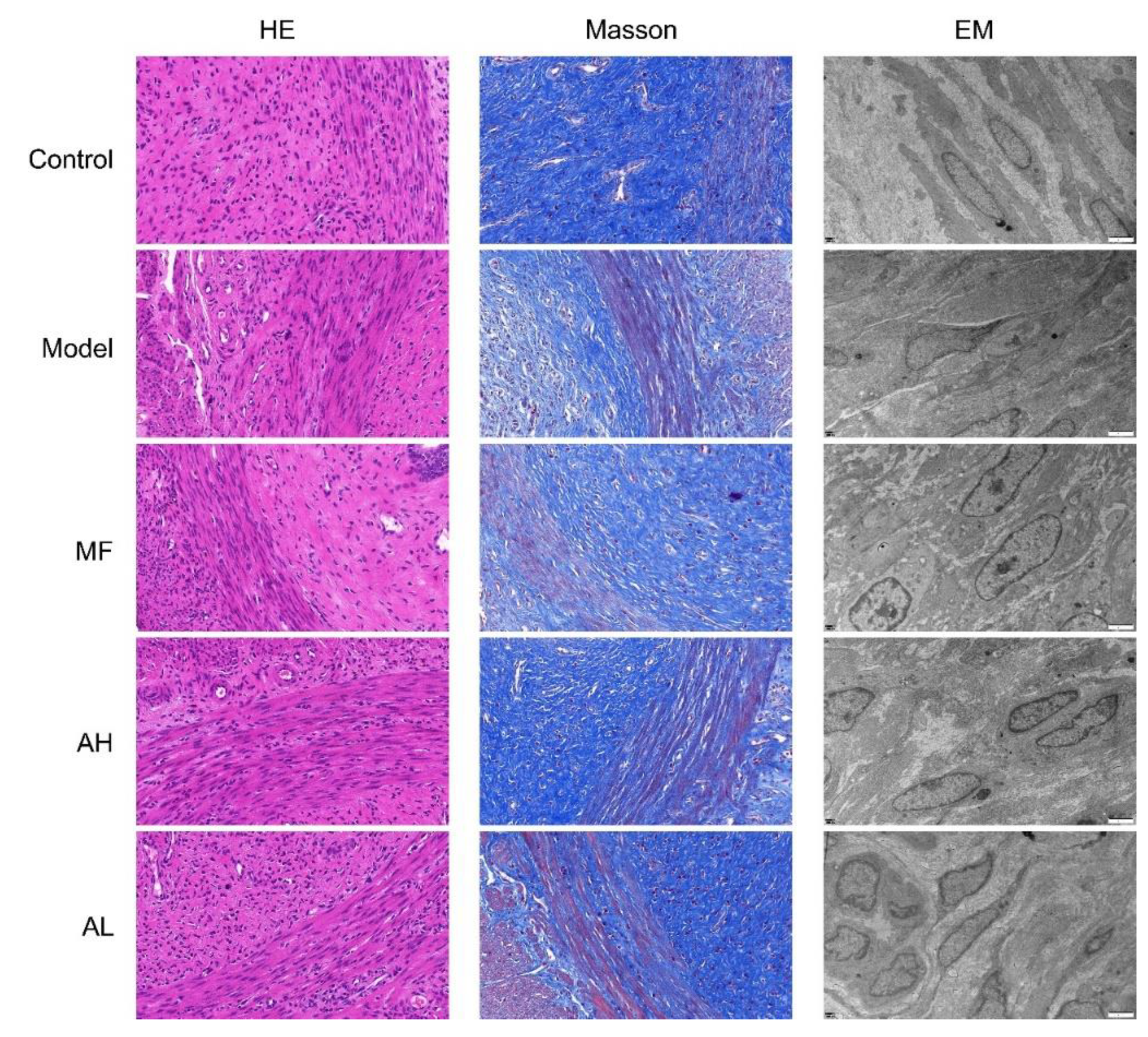Cancers 14 04424 g008
