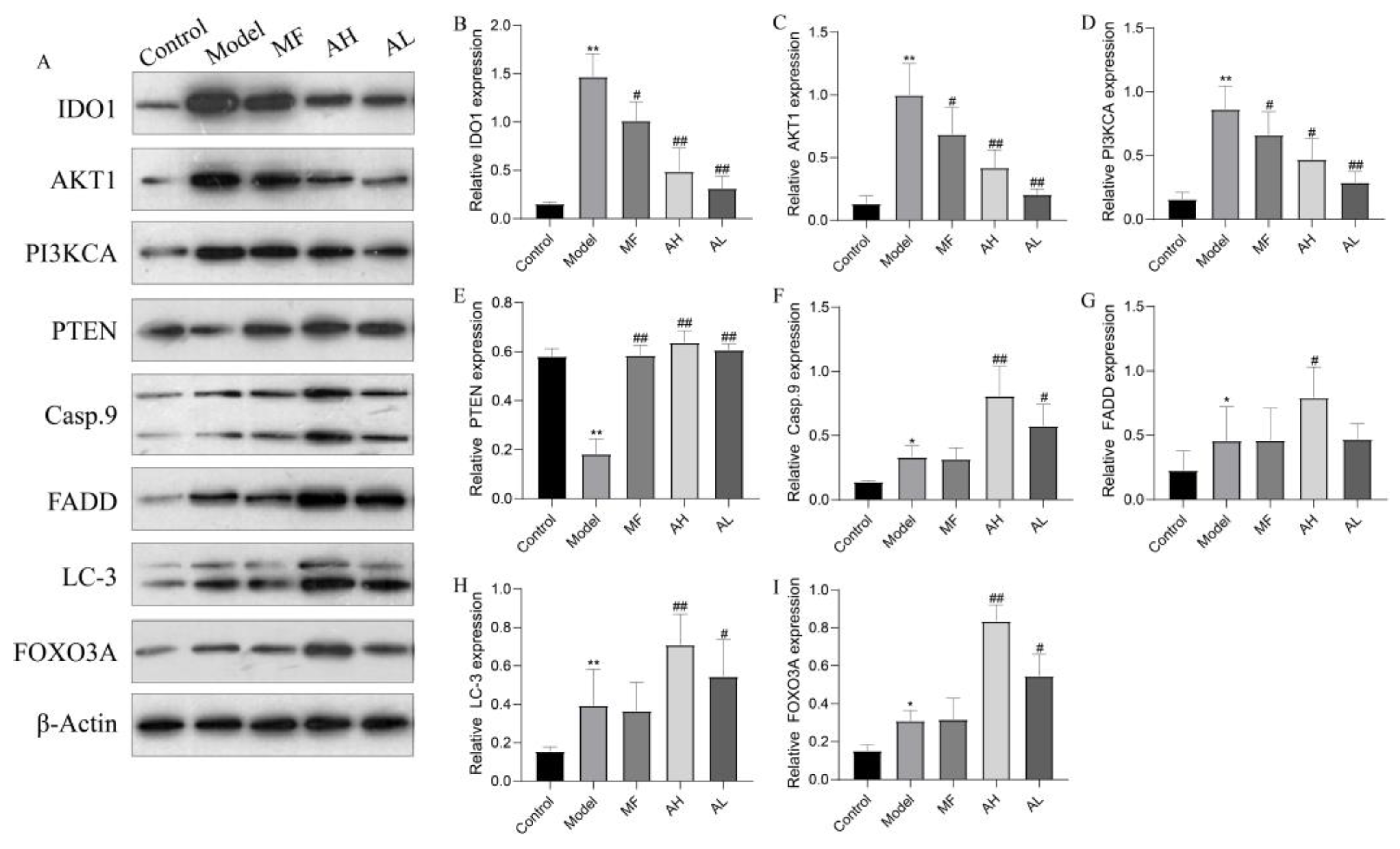Cancers 14 04424 g011