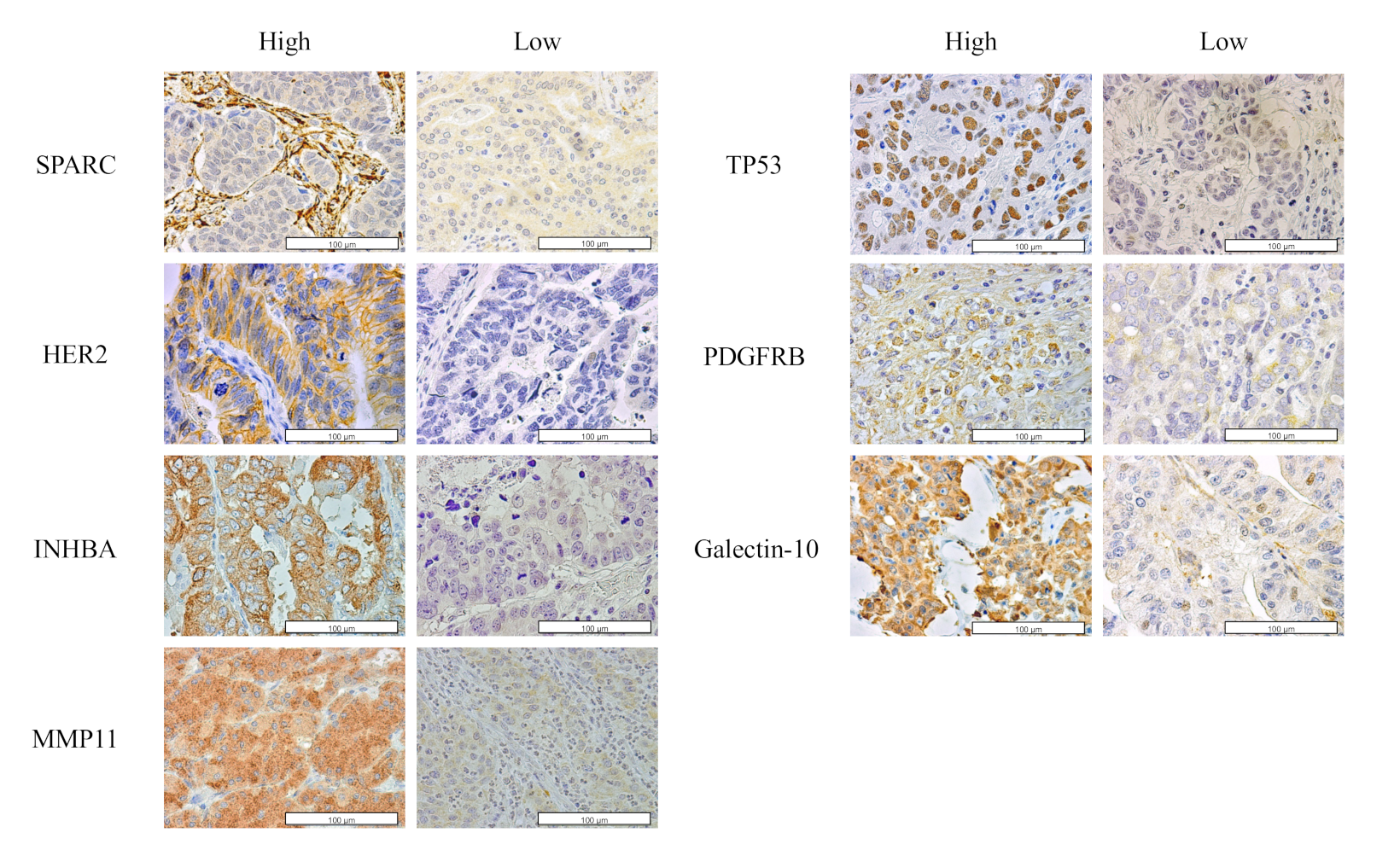 Cancers 14 04427 g002