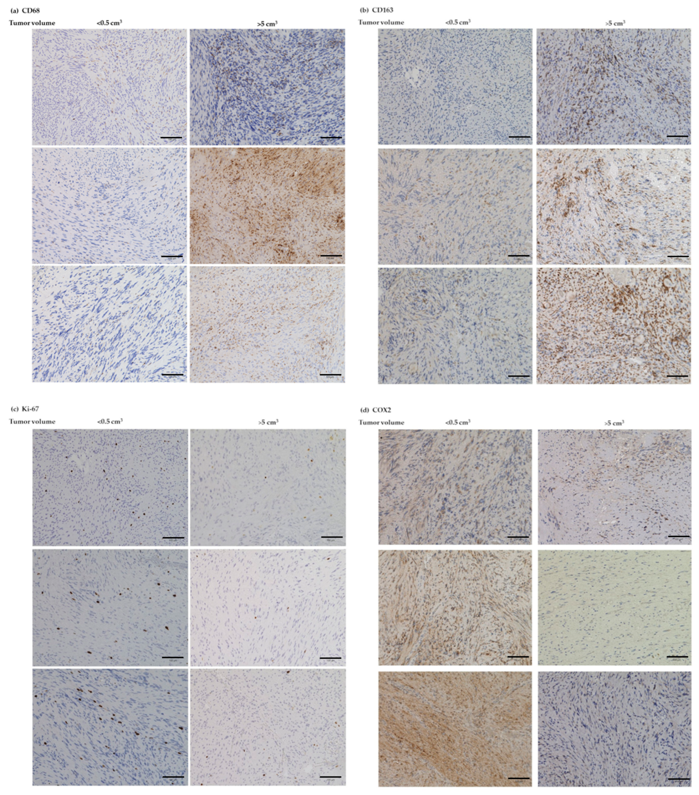 Cancers 14 04429 g007 550