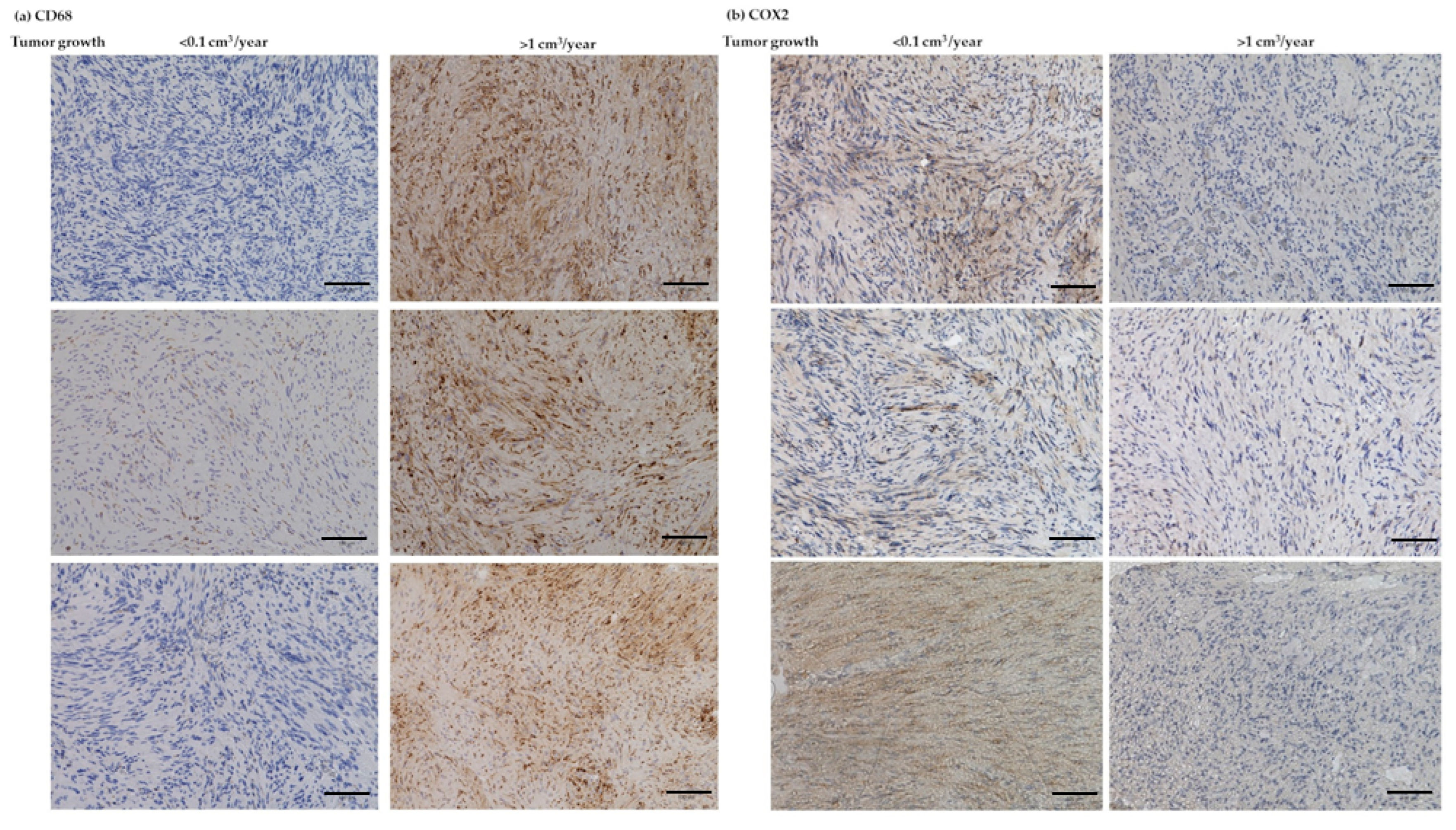 Cancers 14 04429 g008 550