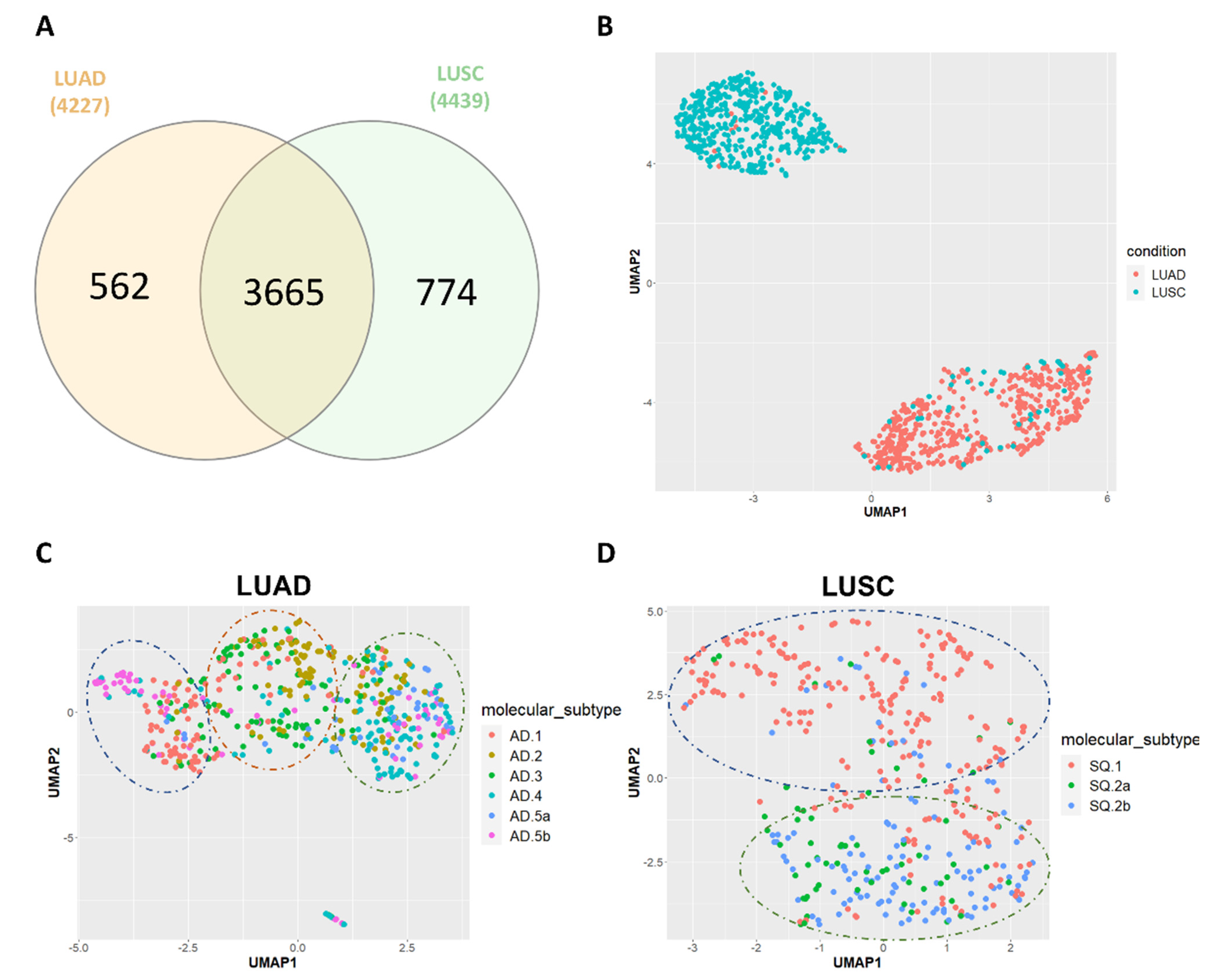 Cancers 14 04433 g001 550