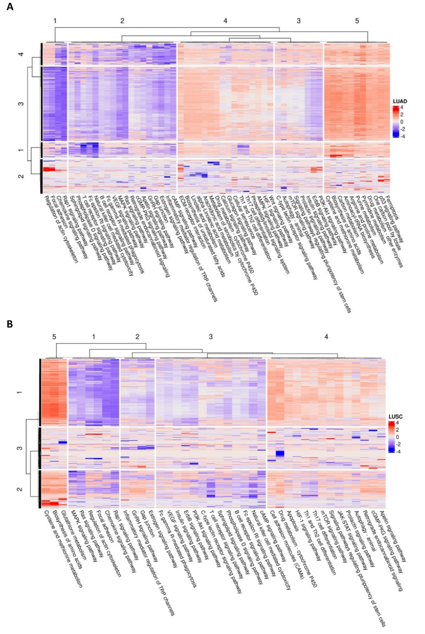 Cancers 14 04433 g004 550