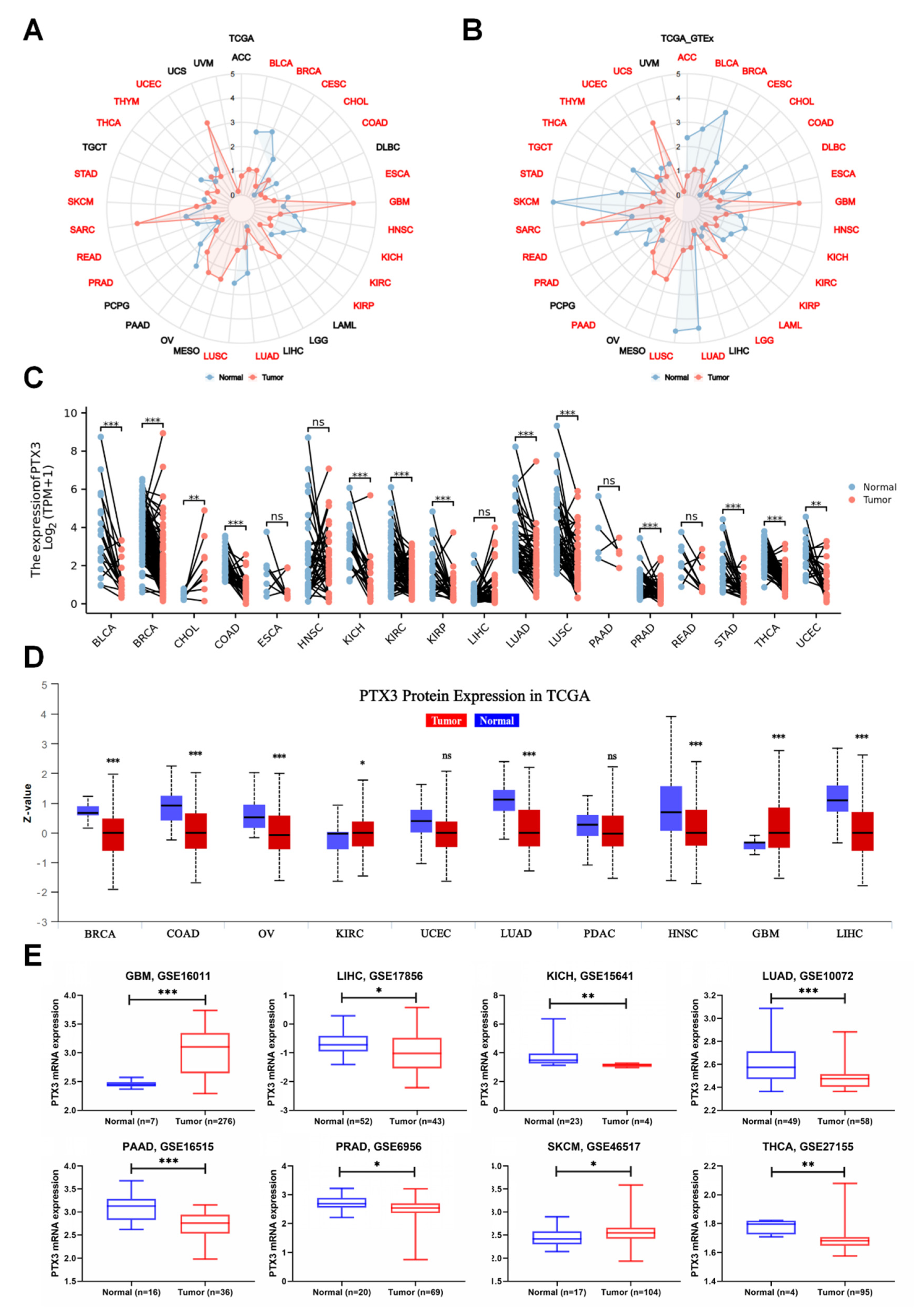 Cancers 14 04438 g001