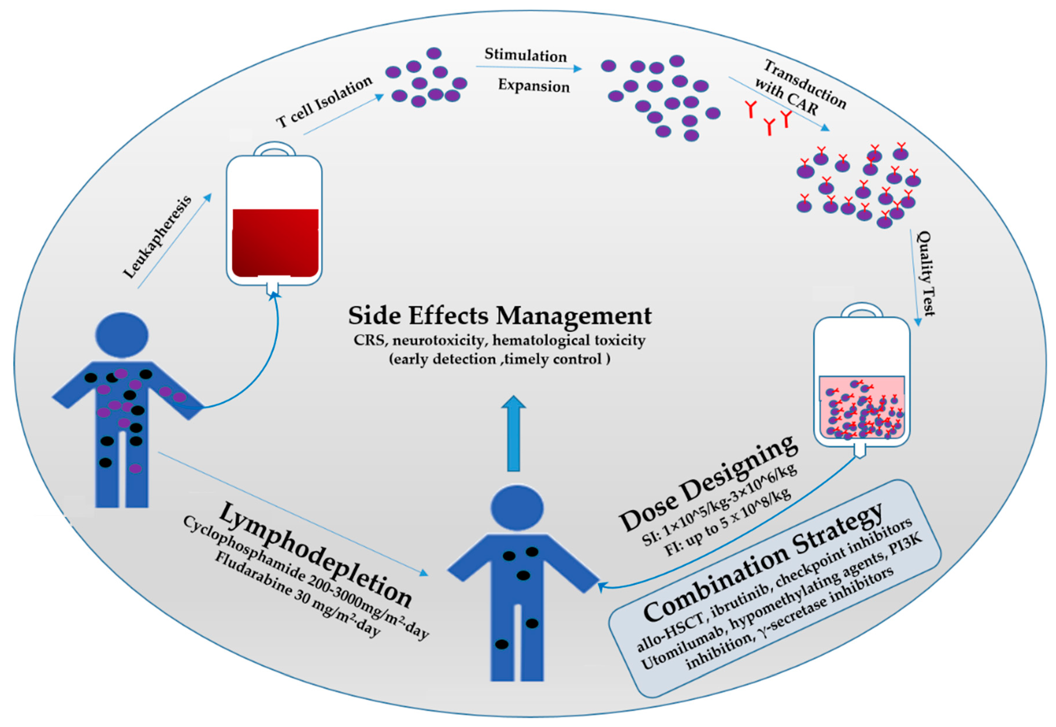 Cancers 14 04452 g002