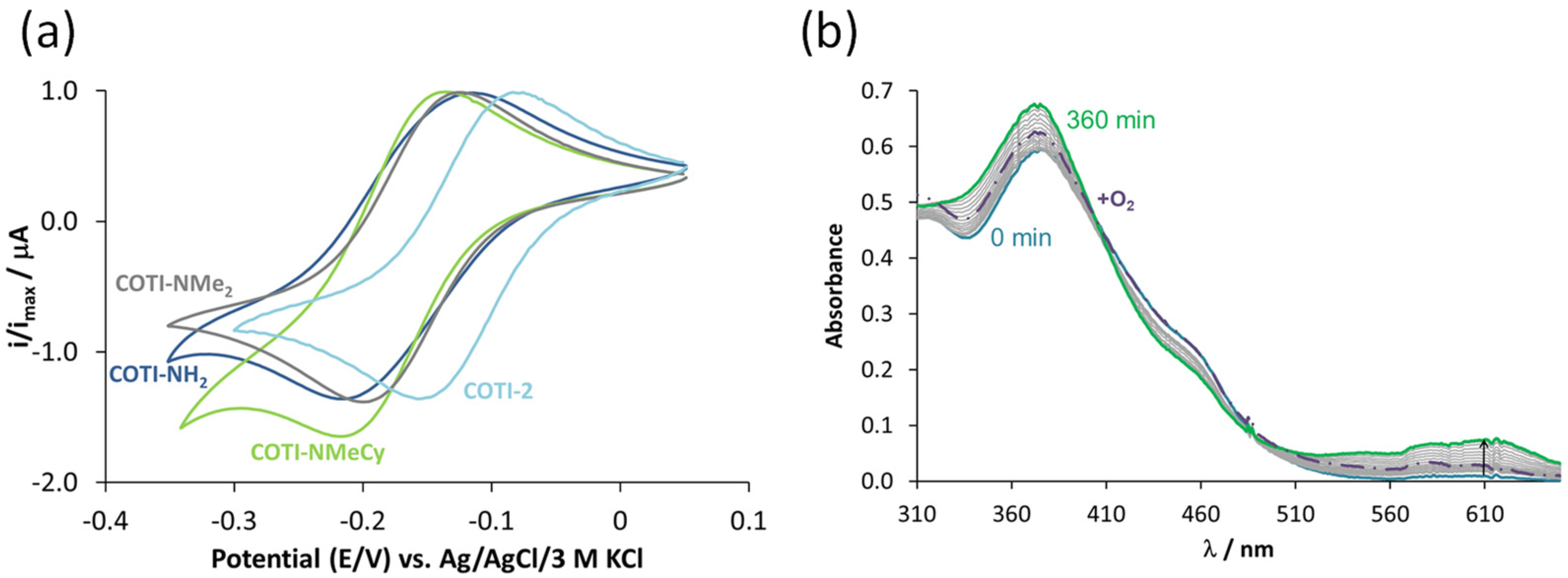 Cancers 14 04455 g003