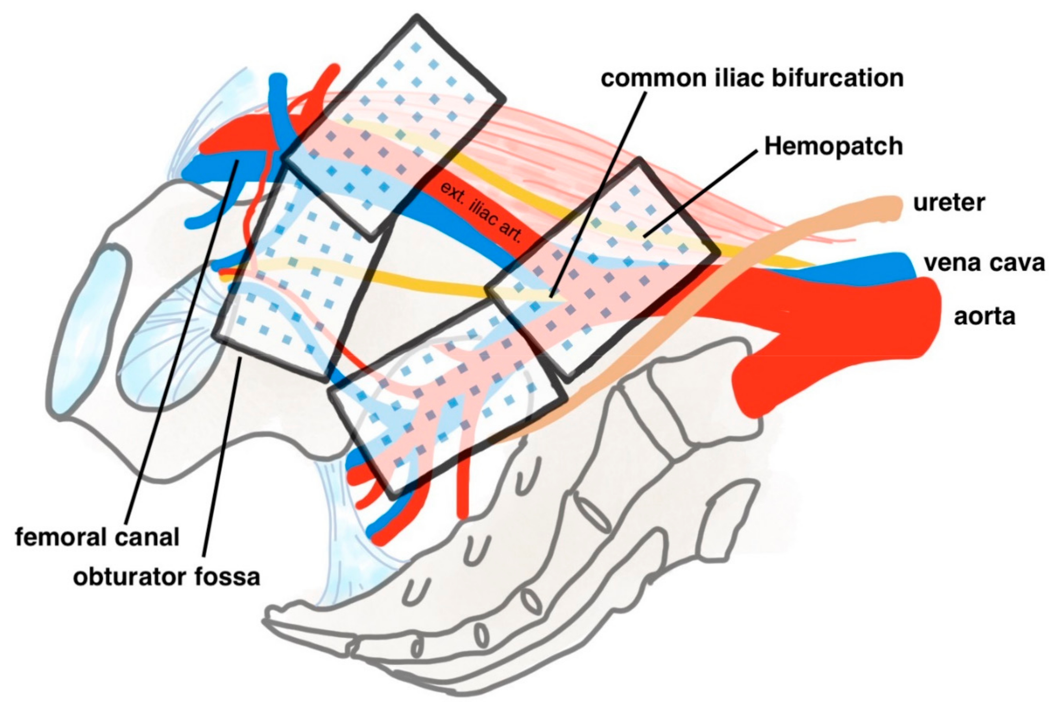 Cancers 14 04476 g001 550