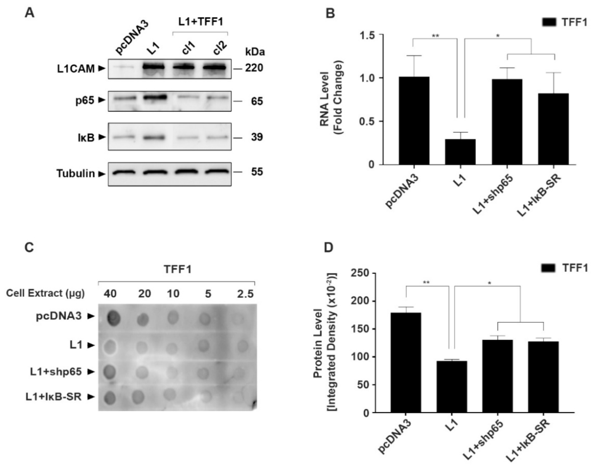 Cancers 14 04478 g004