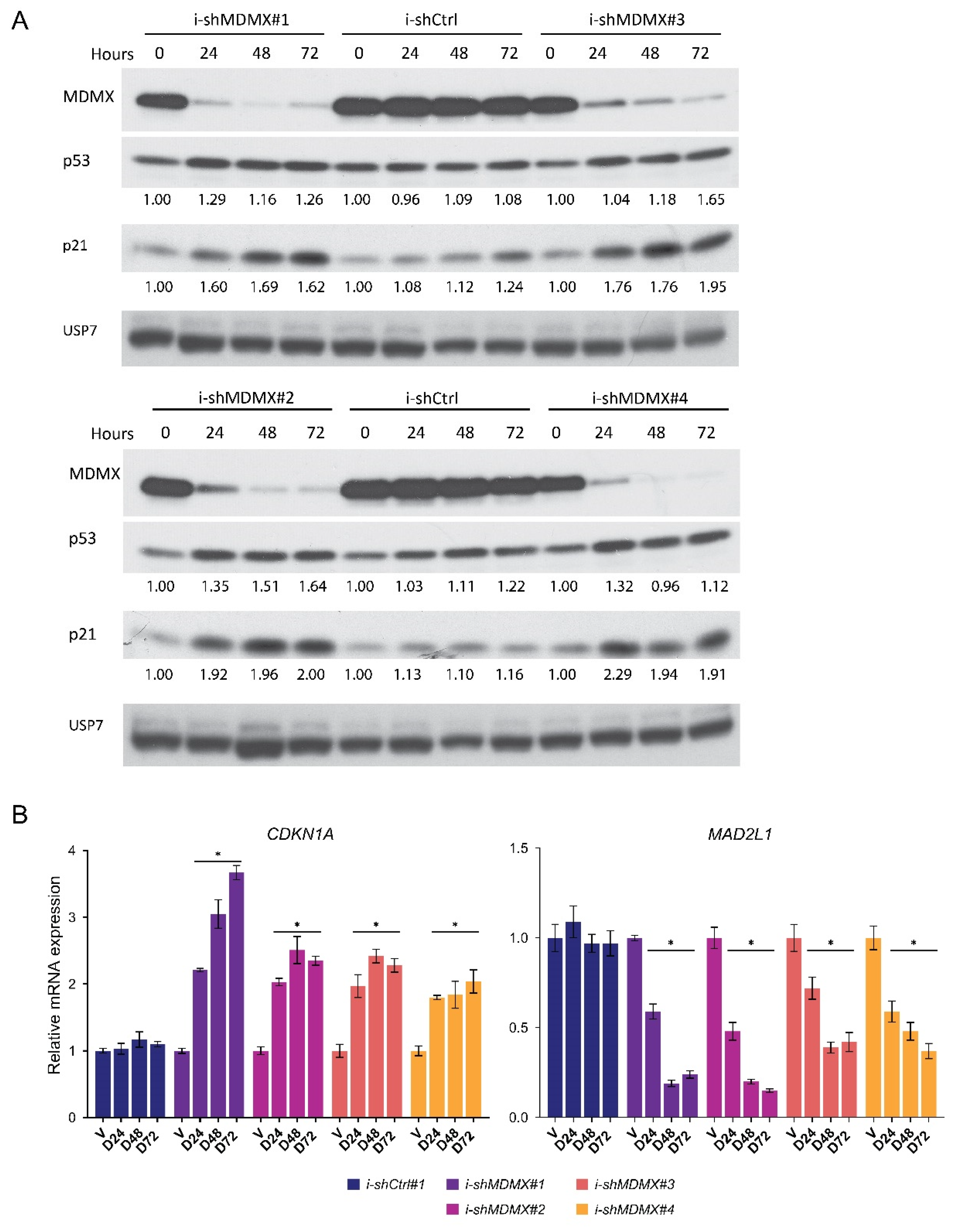 Cancers 14 04482 g001 Cancers 14 04482 g001