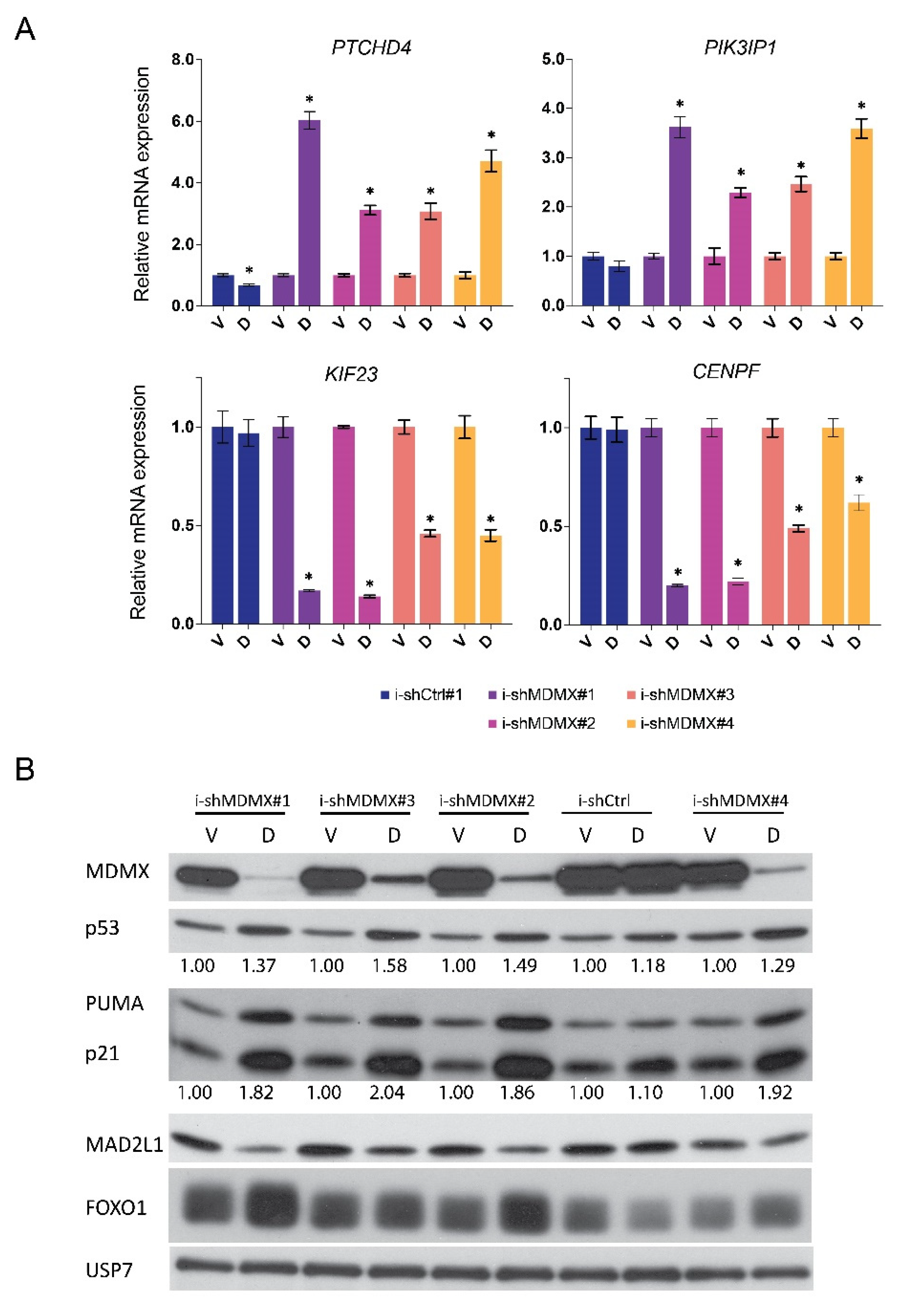 Cancers 14 04482 g002a Cancers 14 04482 g002a