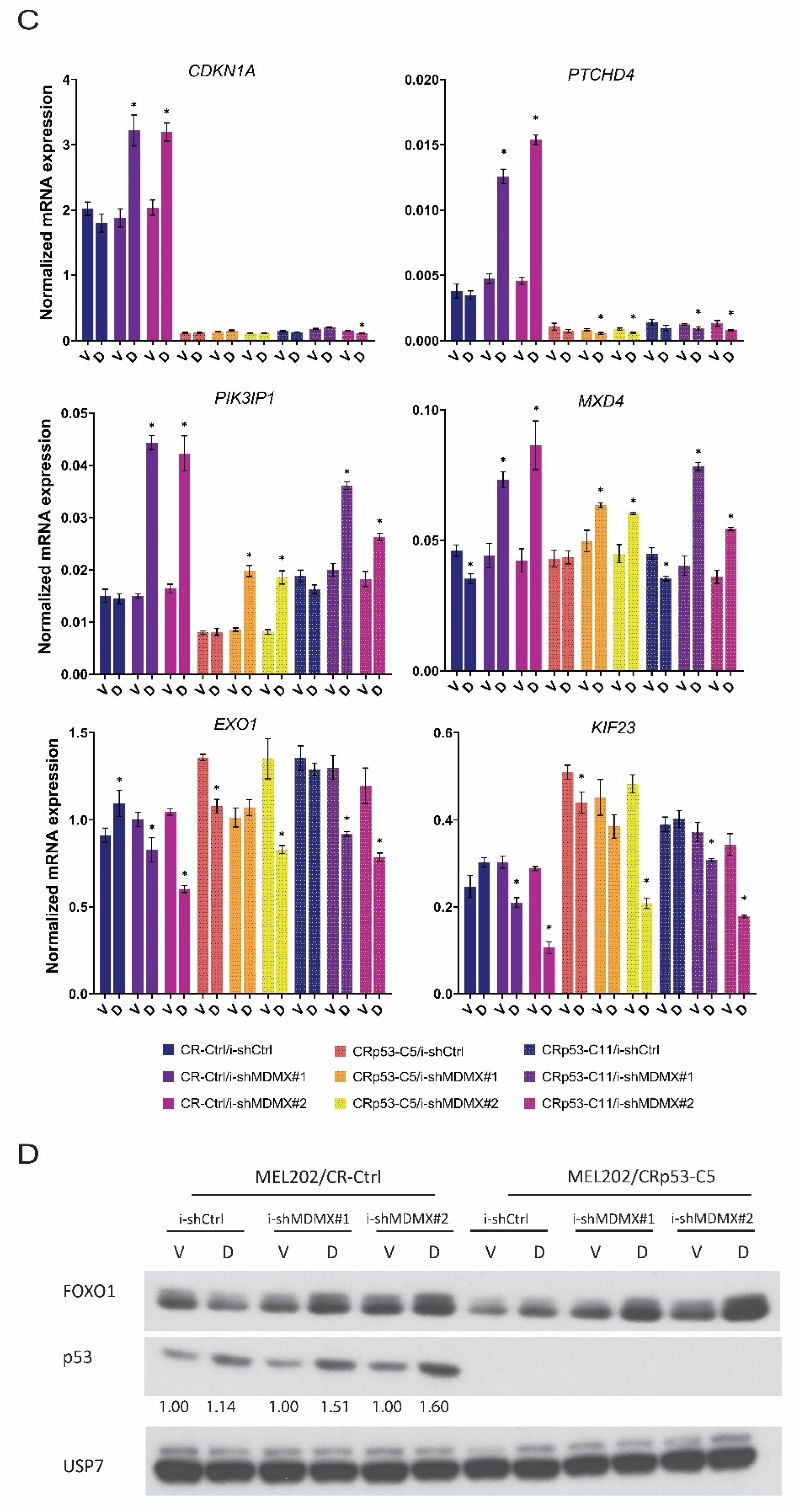 Cancers 14 04482 g002b Cancers 14 04482 g002b