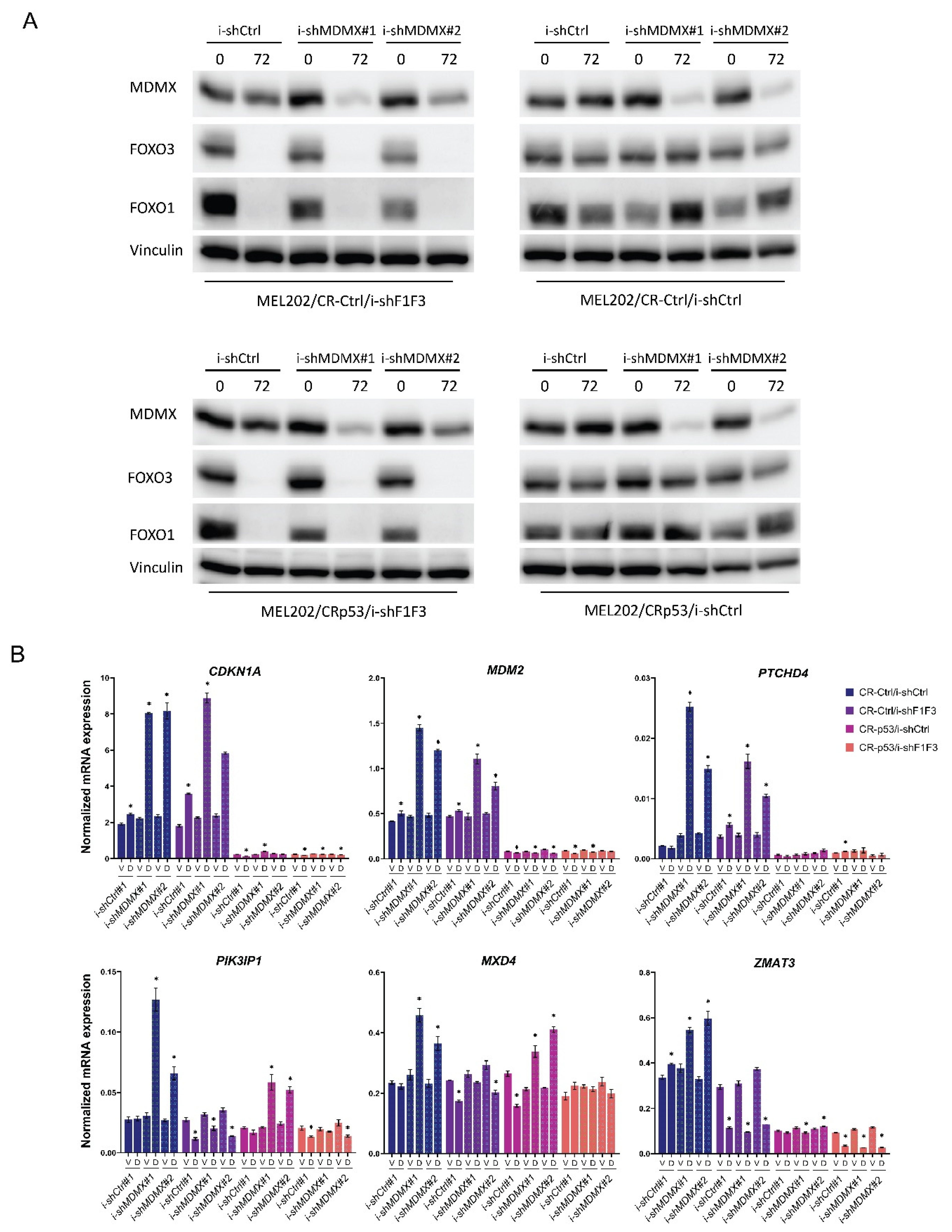 Cancers 14 04482 g003 Cancers 14 04482 g003