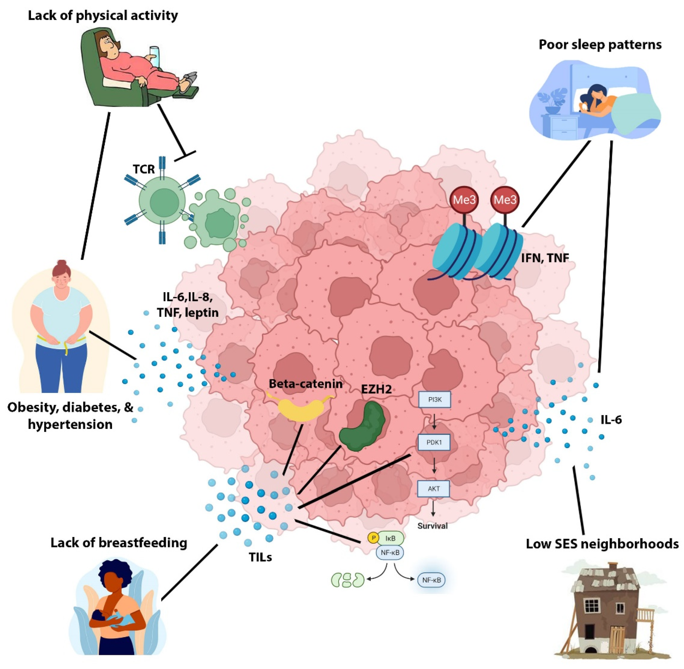 Cancers 14 04484 g002 Cancers 14 04484 g002