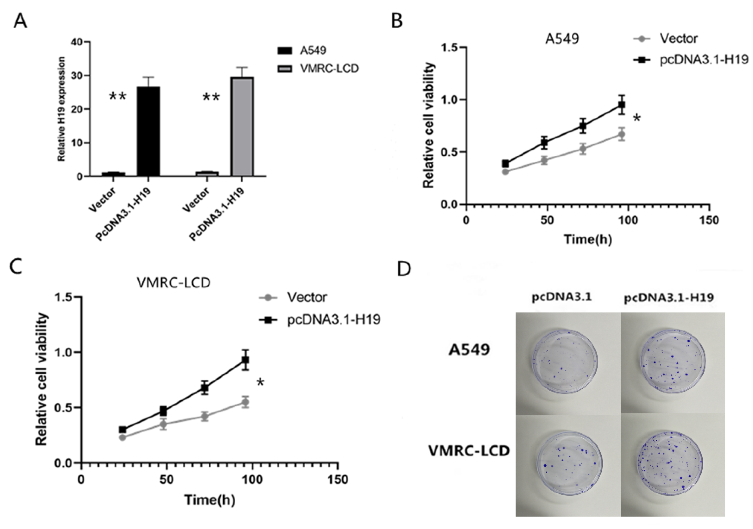 Cancers 14 04486 g002 Cancers 14 04486 g002