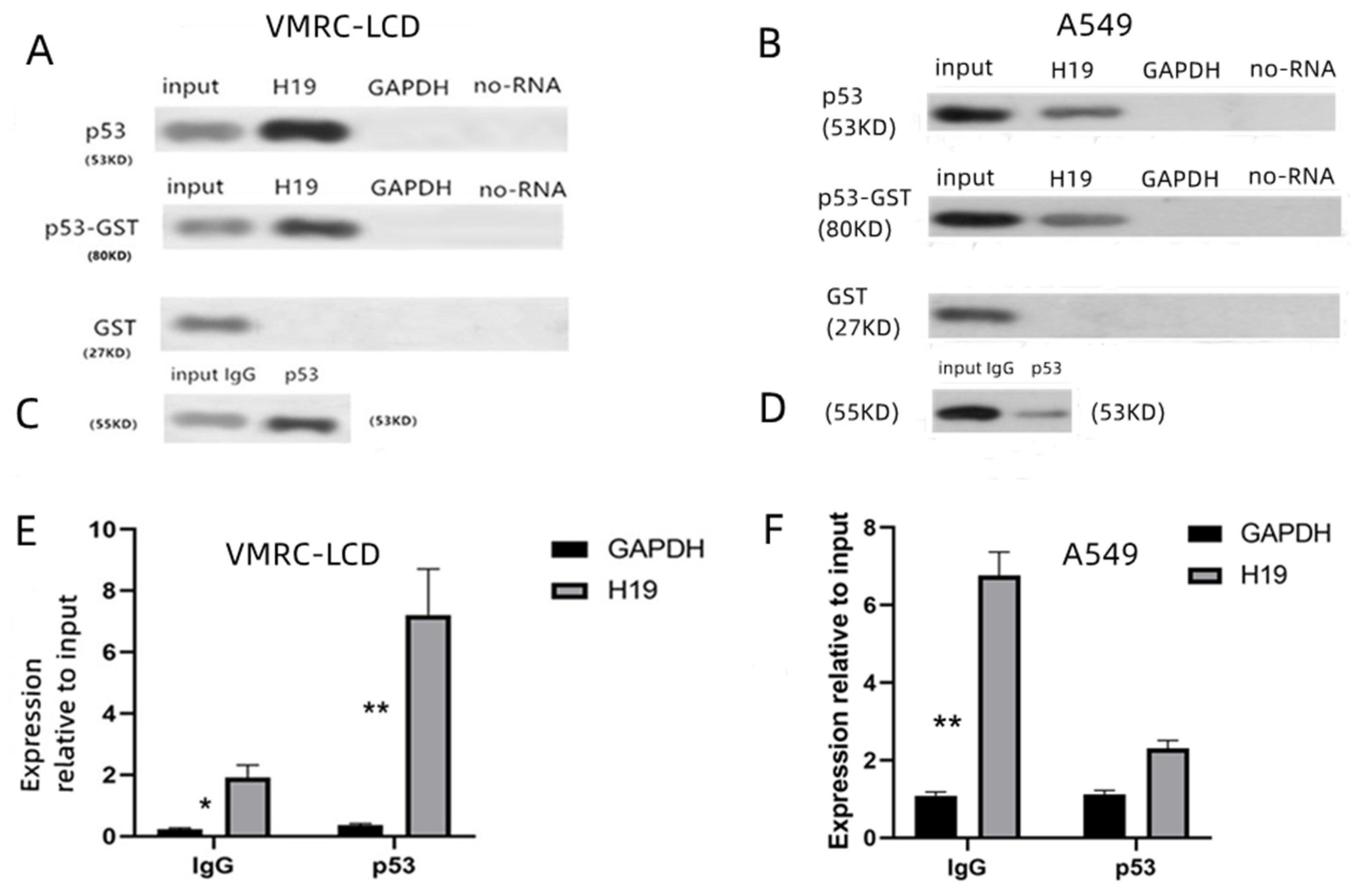 Cancers 14 04486 g004 Cancers 14 04486 g004