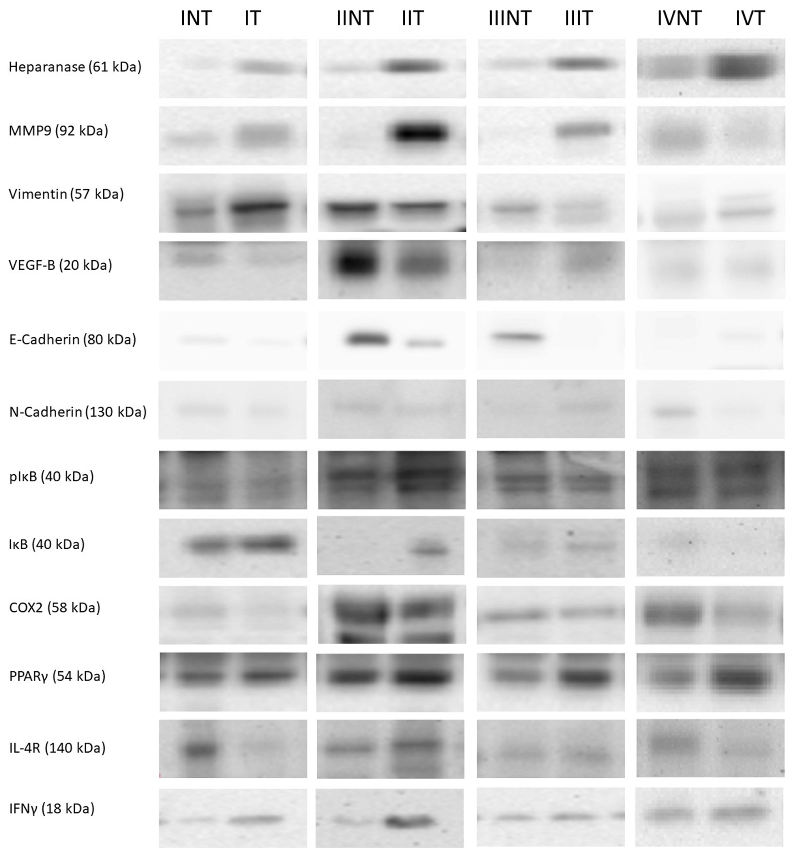 Cancers 14 04487 g004