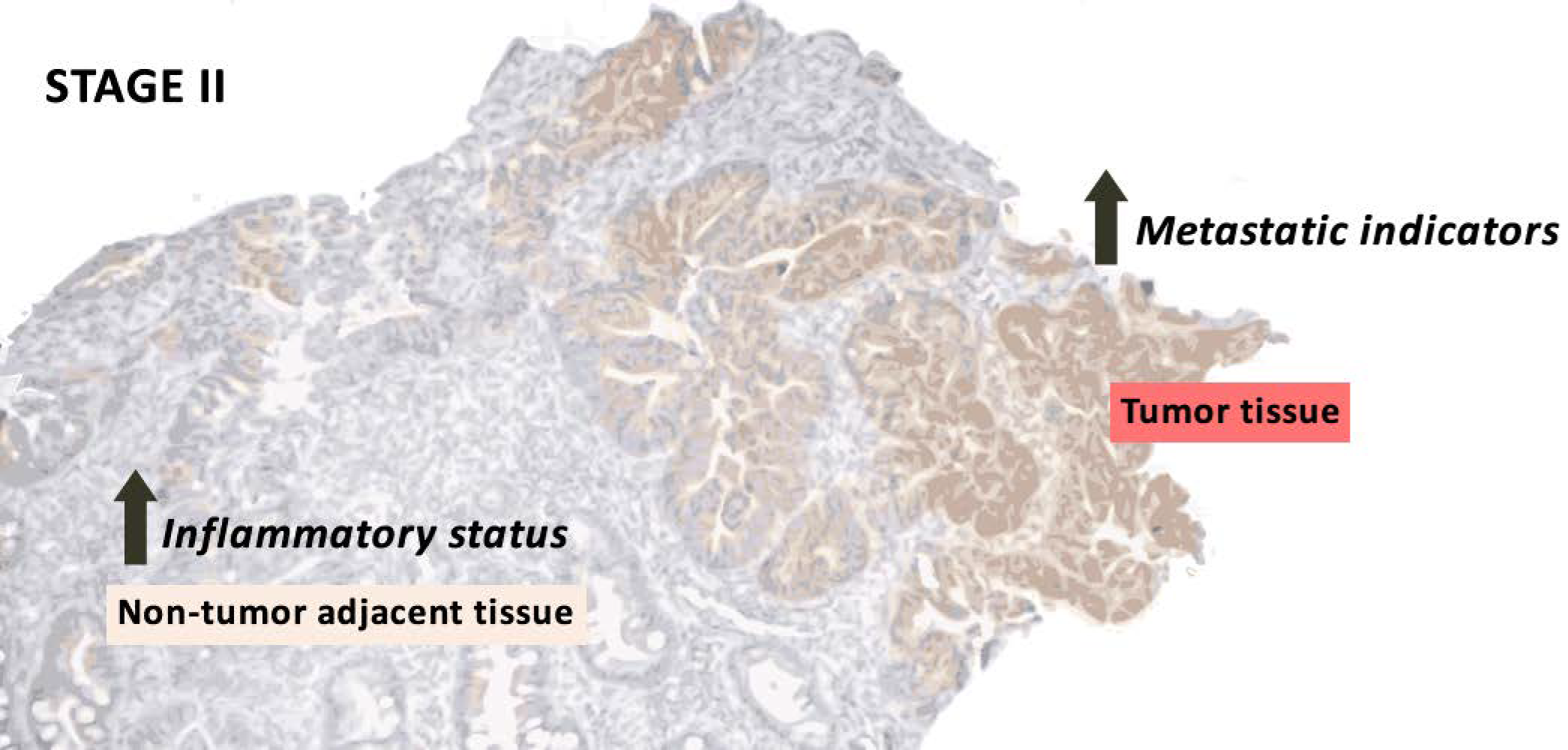 Cancers 14 04487 g006