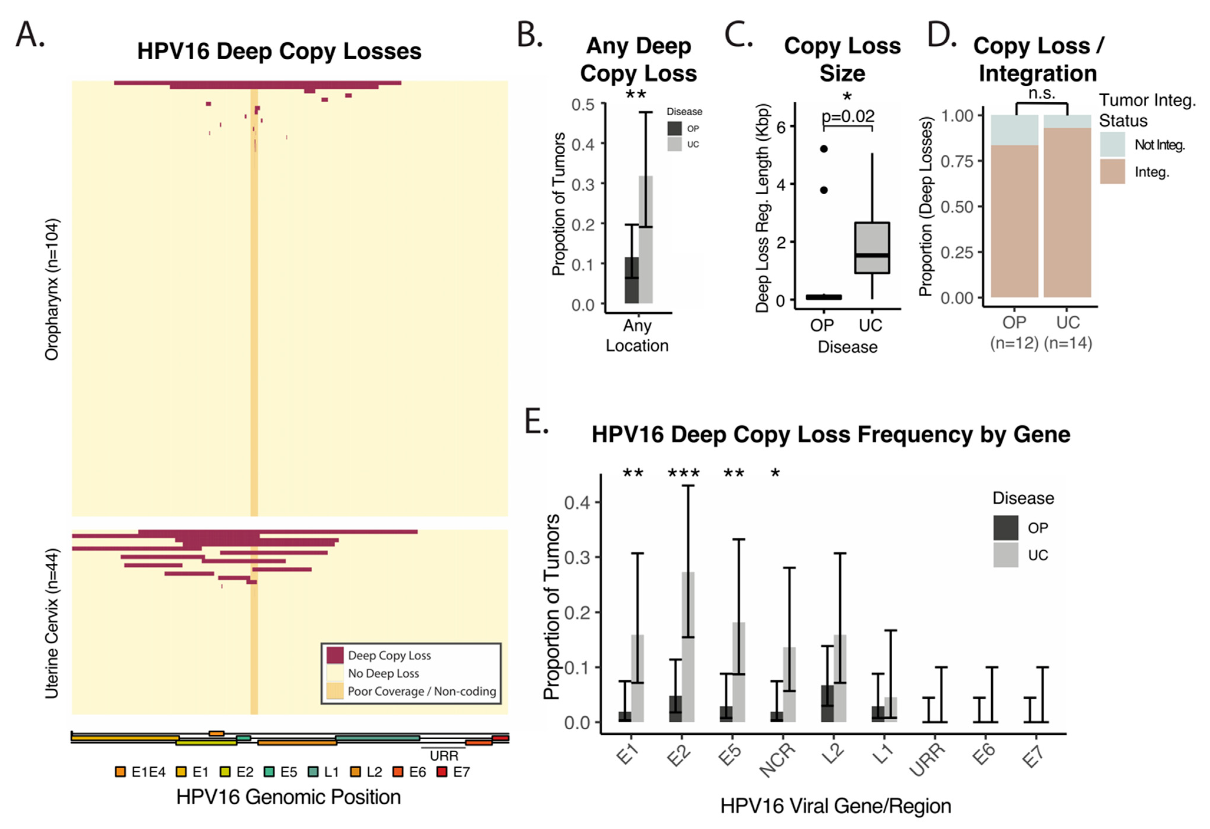 Cancers 14 04488 g003 Cancers 14 04488 g003