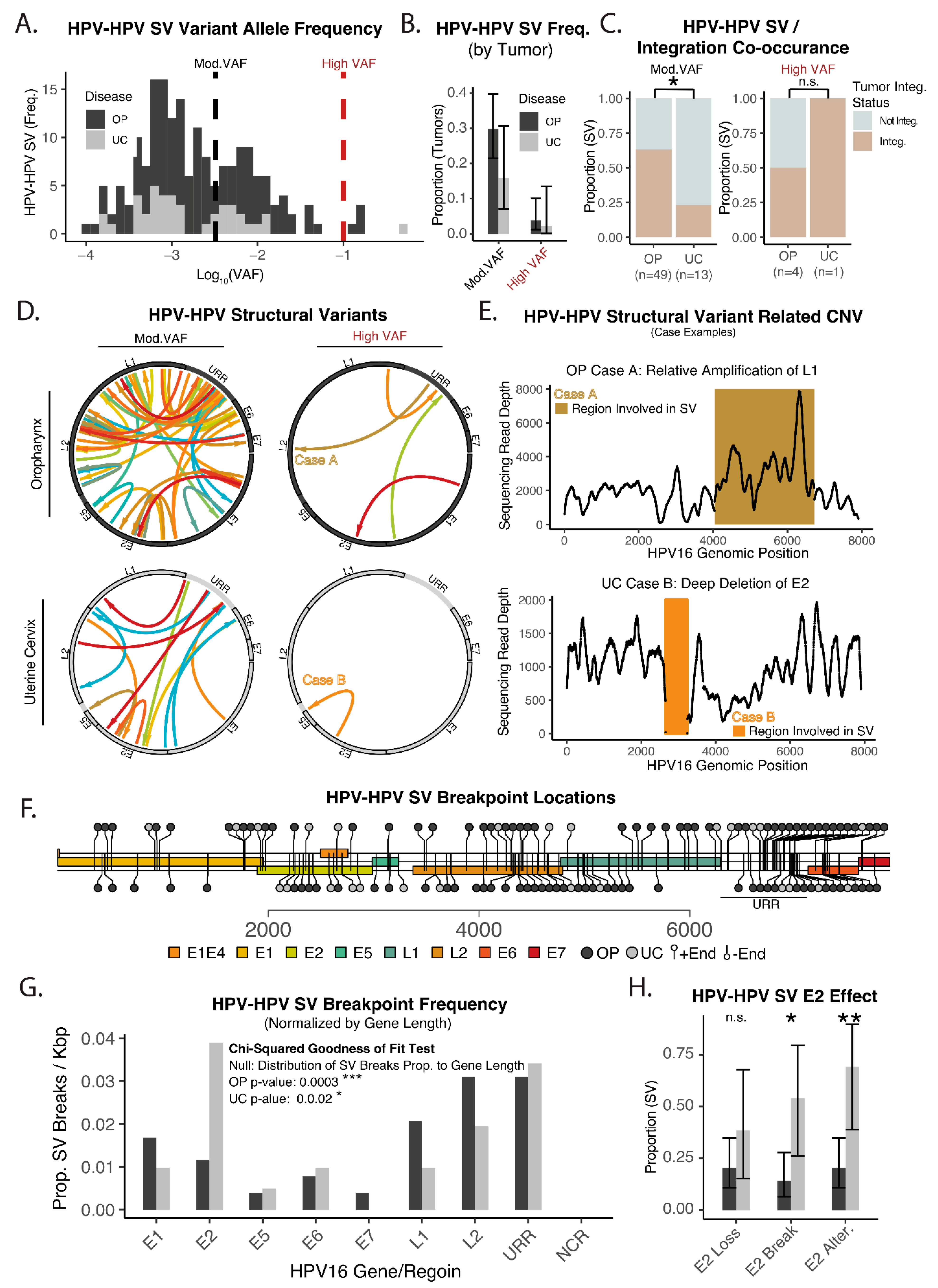 Cancers 14 04488 g004 Cancers 14 04488 g004