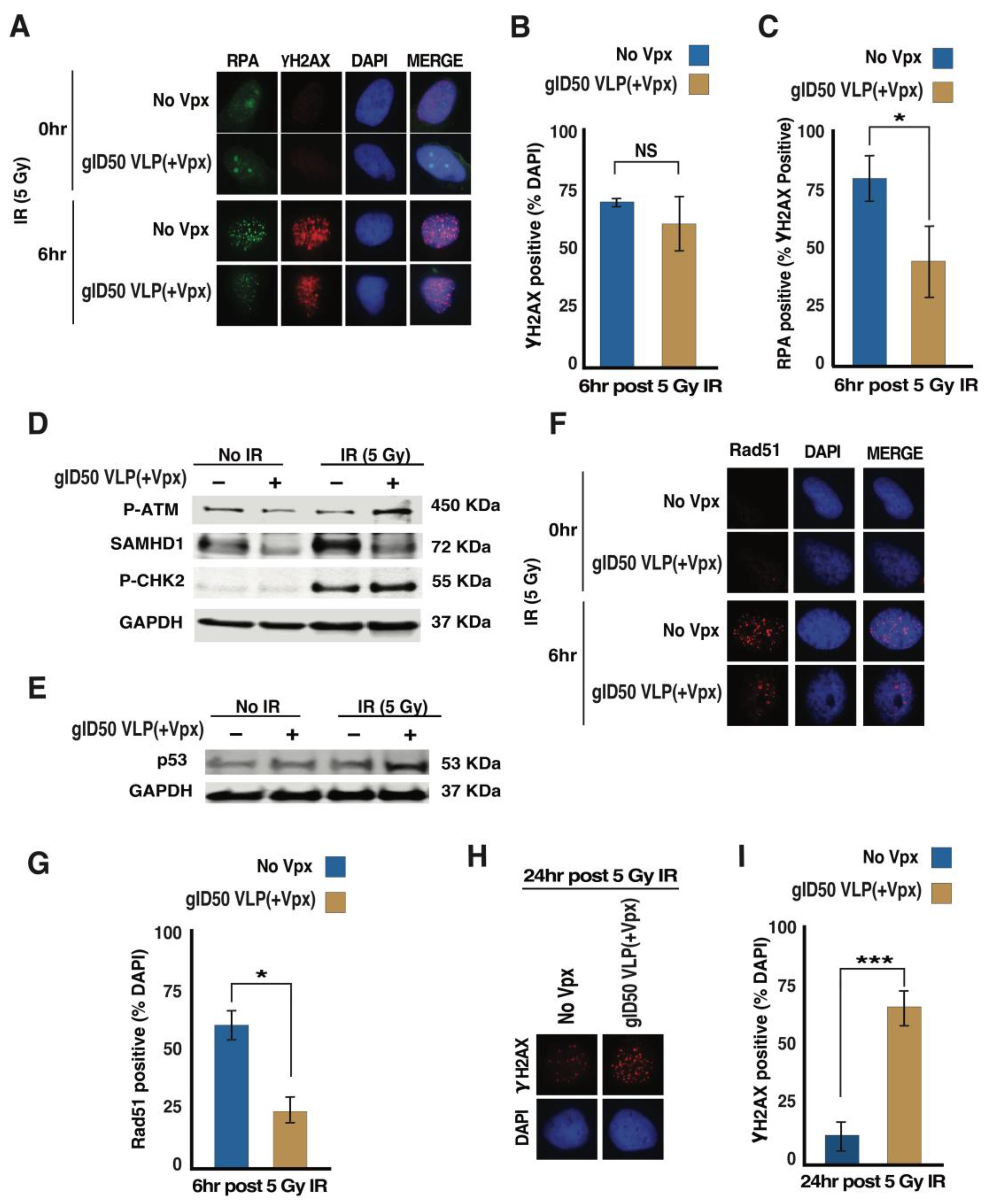 Cancers 14 04490 g004
