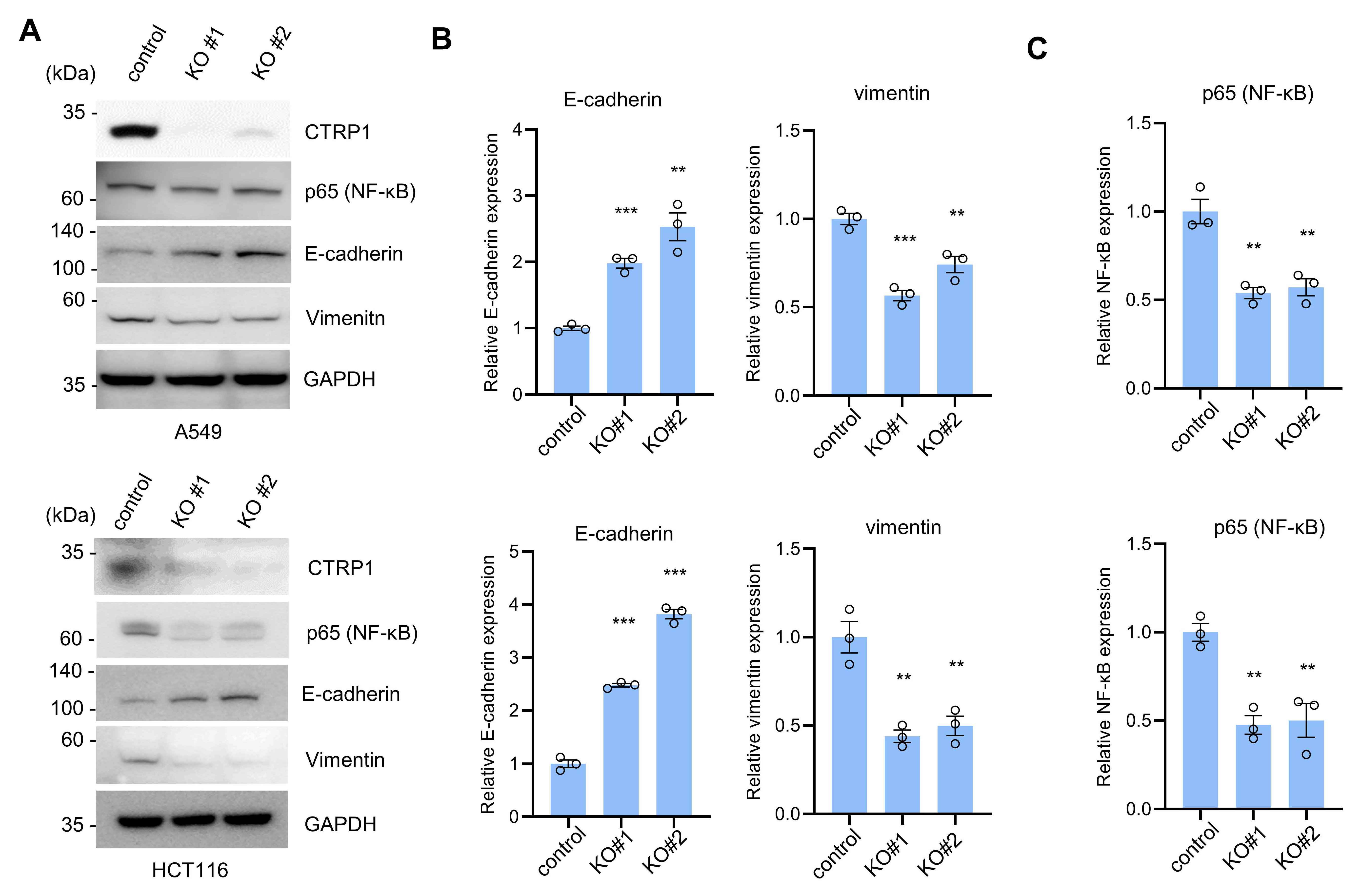 Cancers 14 04495 g001 Cancers 14 04495 g001