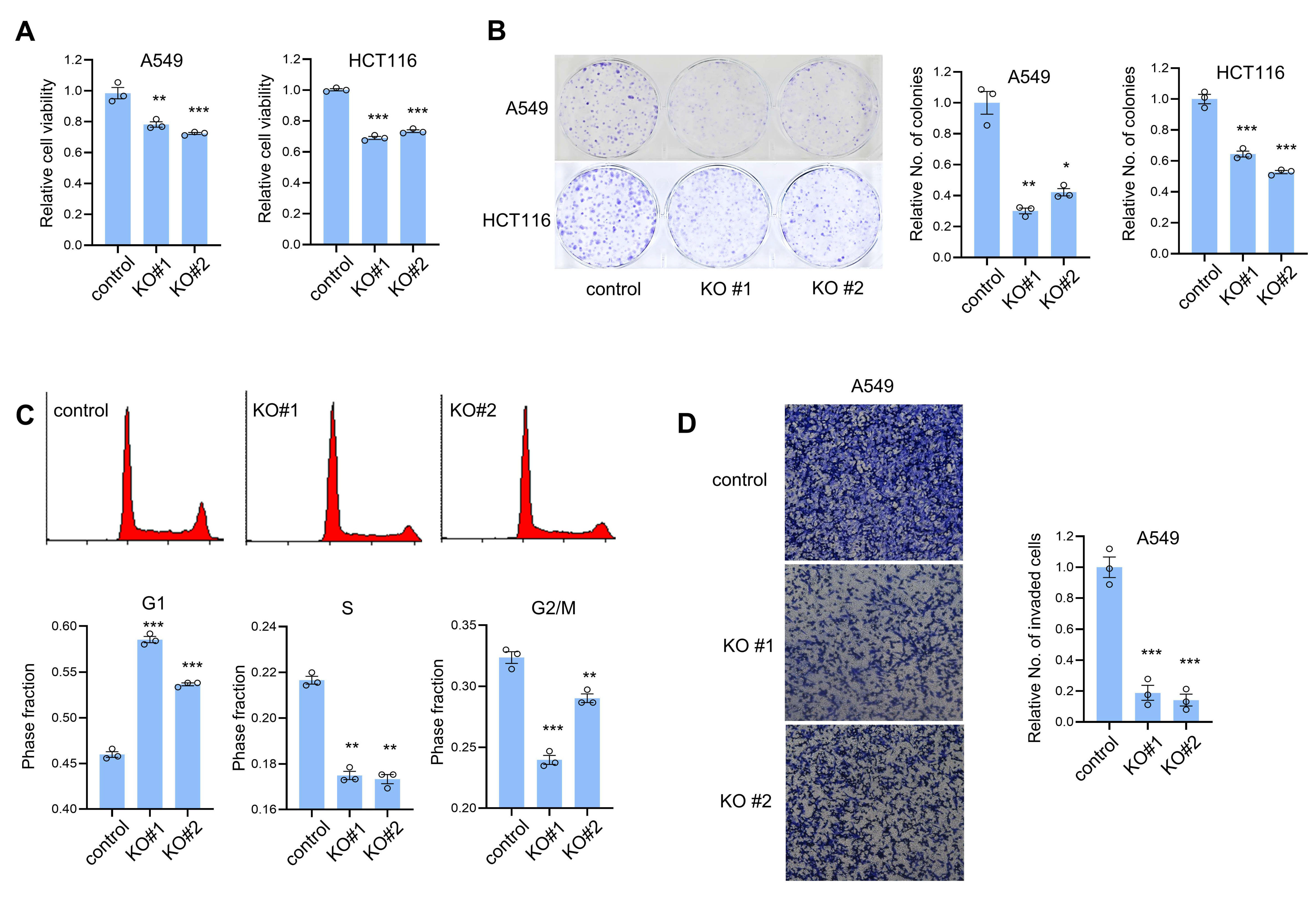 Cancers 14 04495 g003 Cancers 14 04495 g003