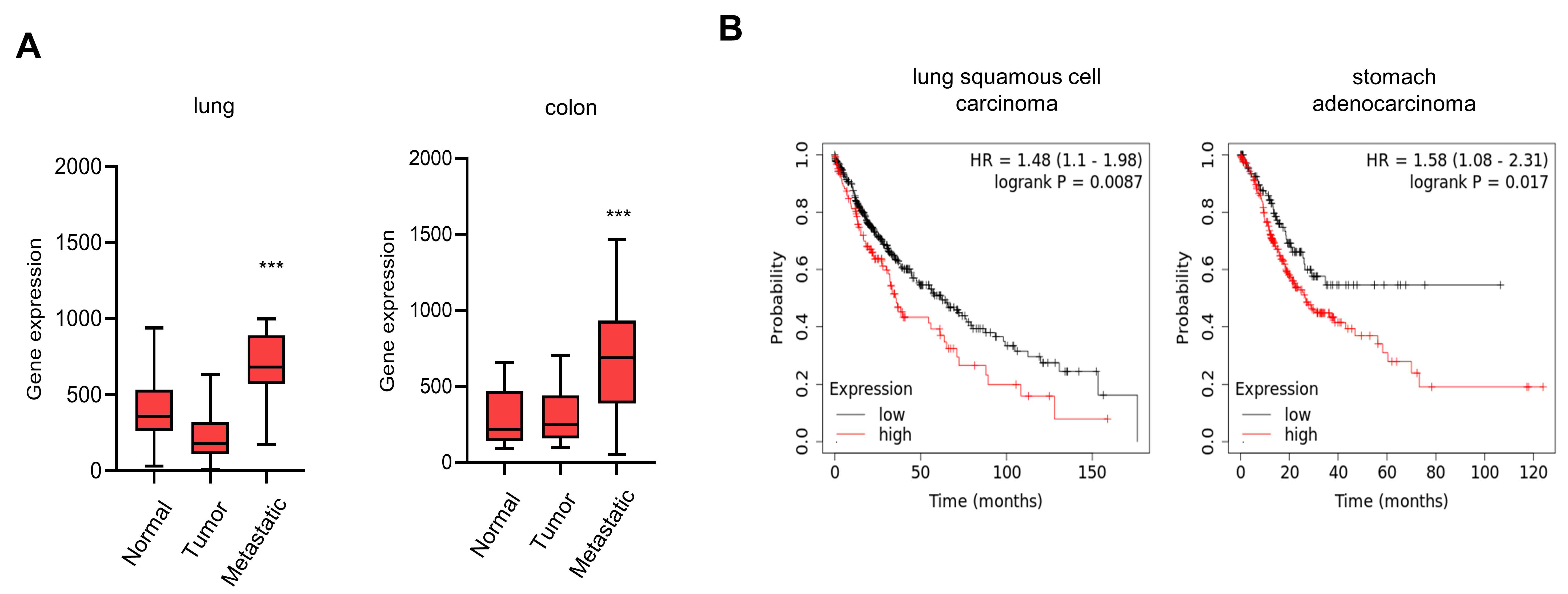 Cancers 14 04495 g005 Cancers 14 04495 g005