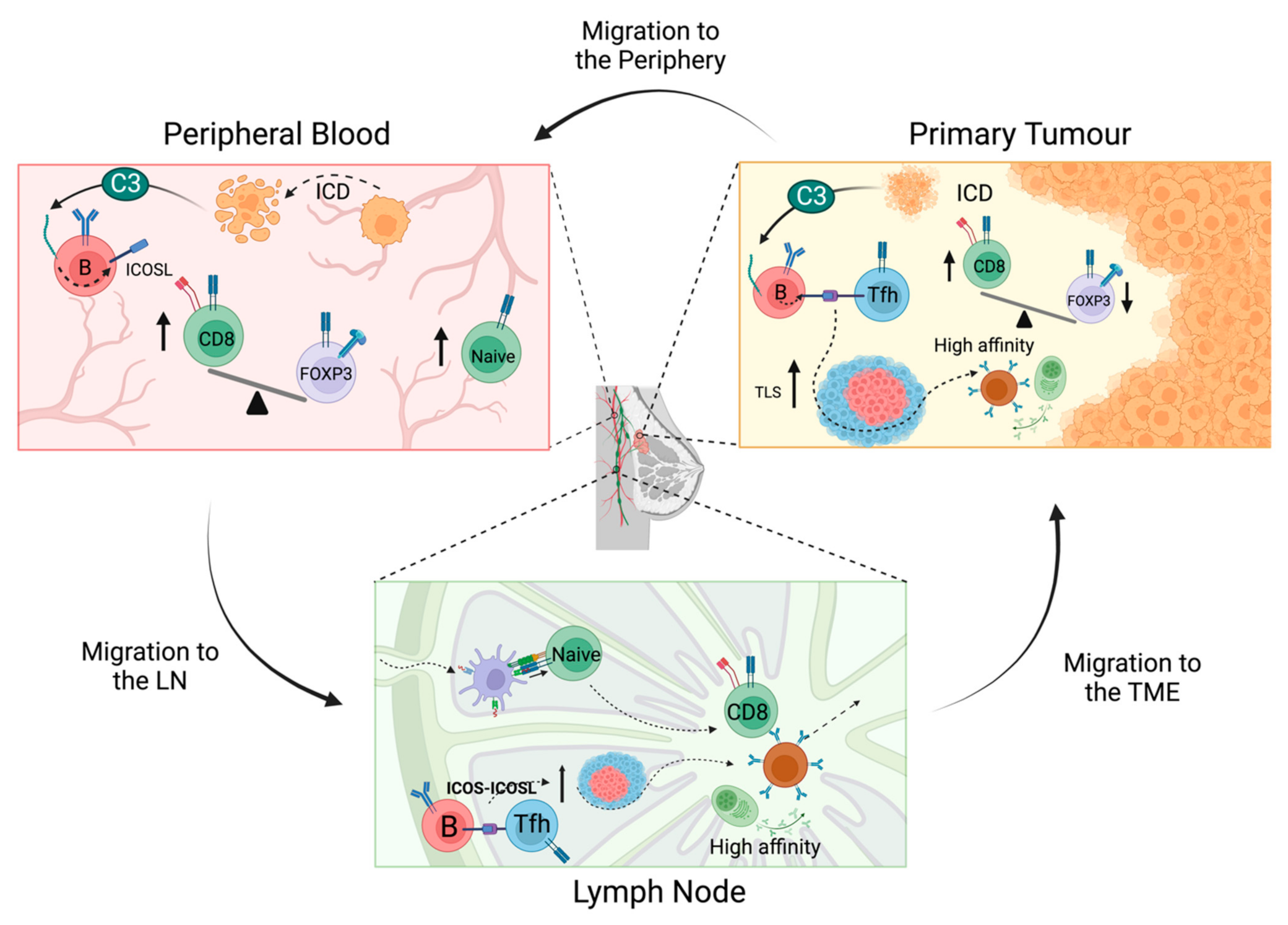 Cancers 14 04505 g003 Cancers 14 04505 g003