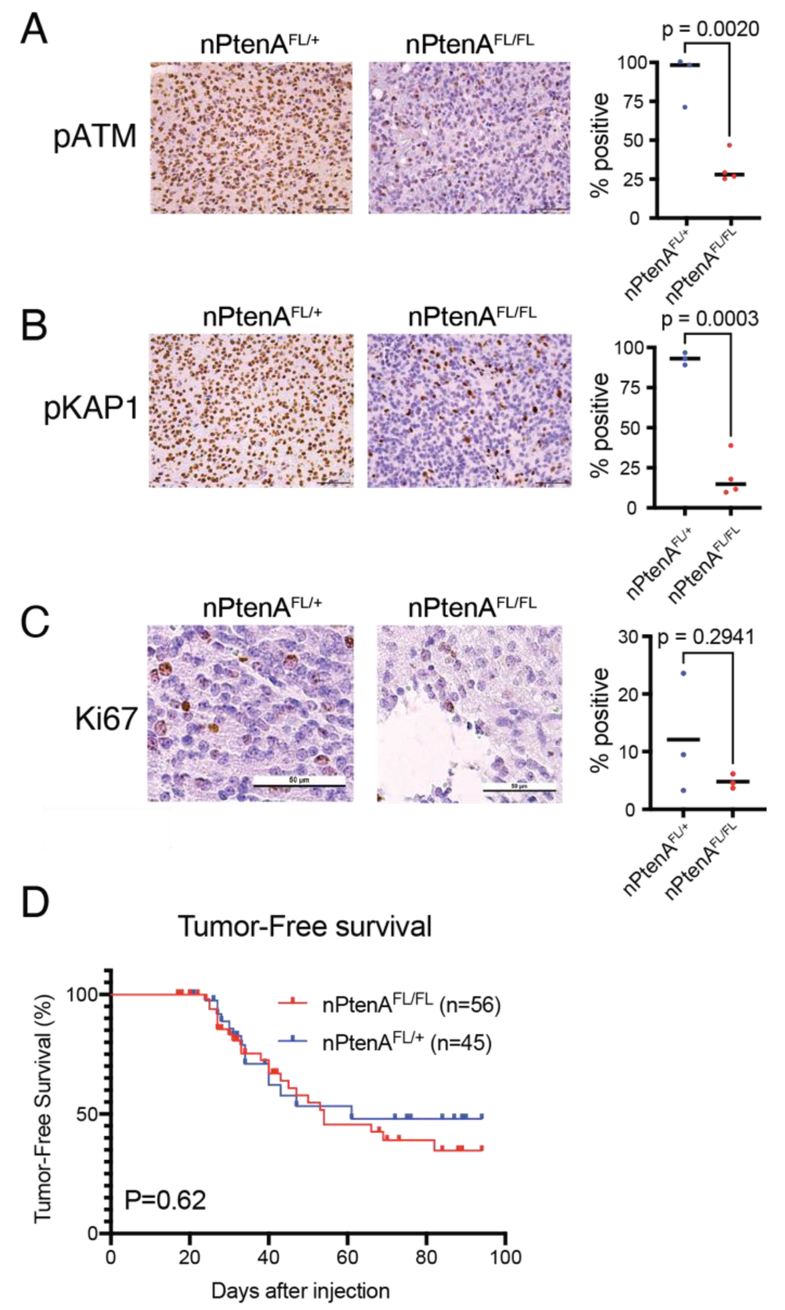 Cancers 14 04506 g002