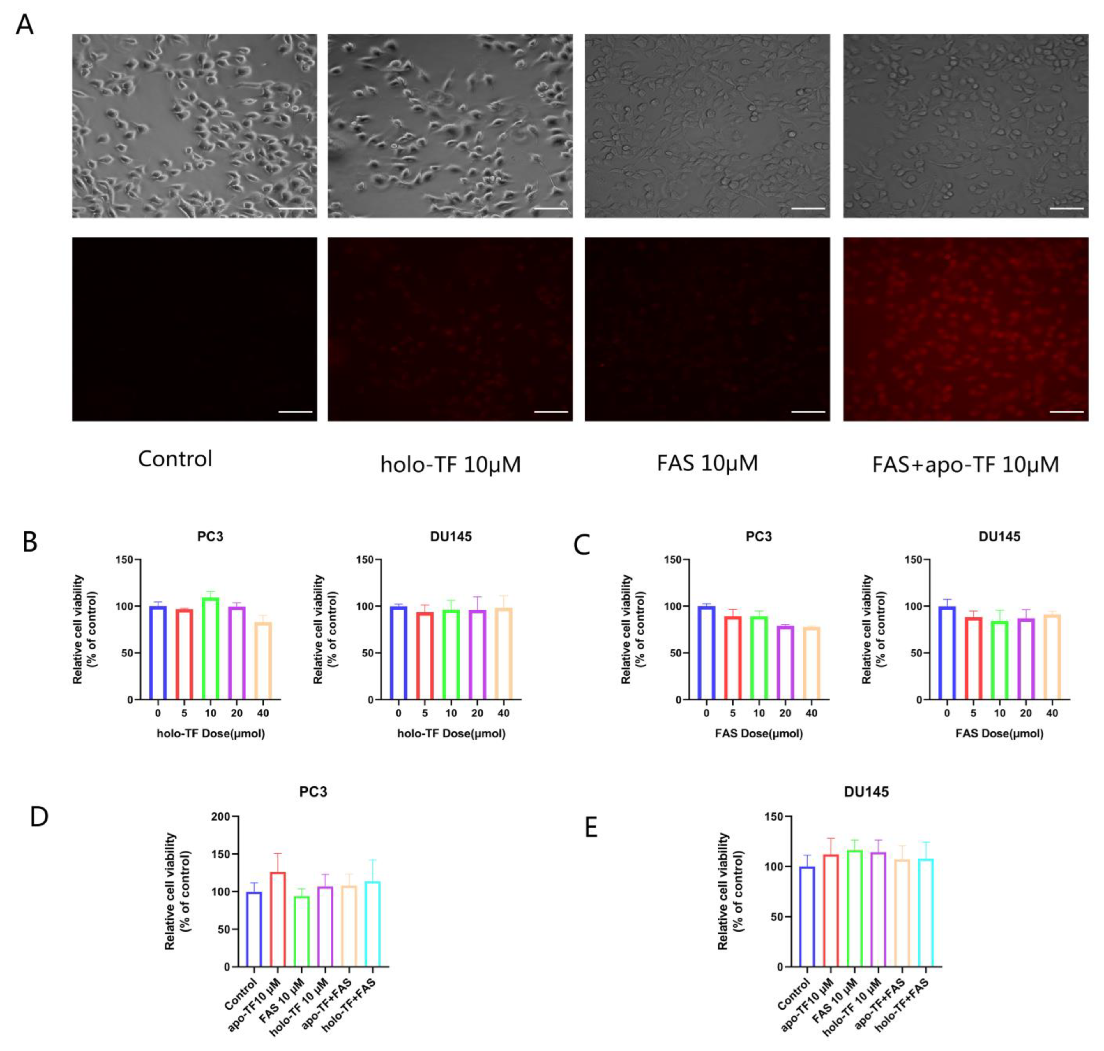 Cancers 14 04507 g002 Cancers 14 04507 g002