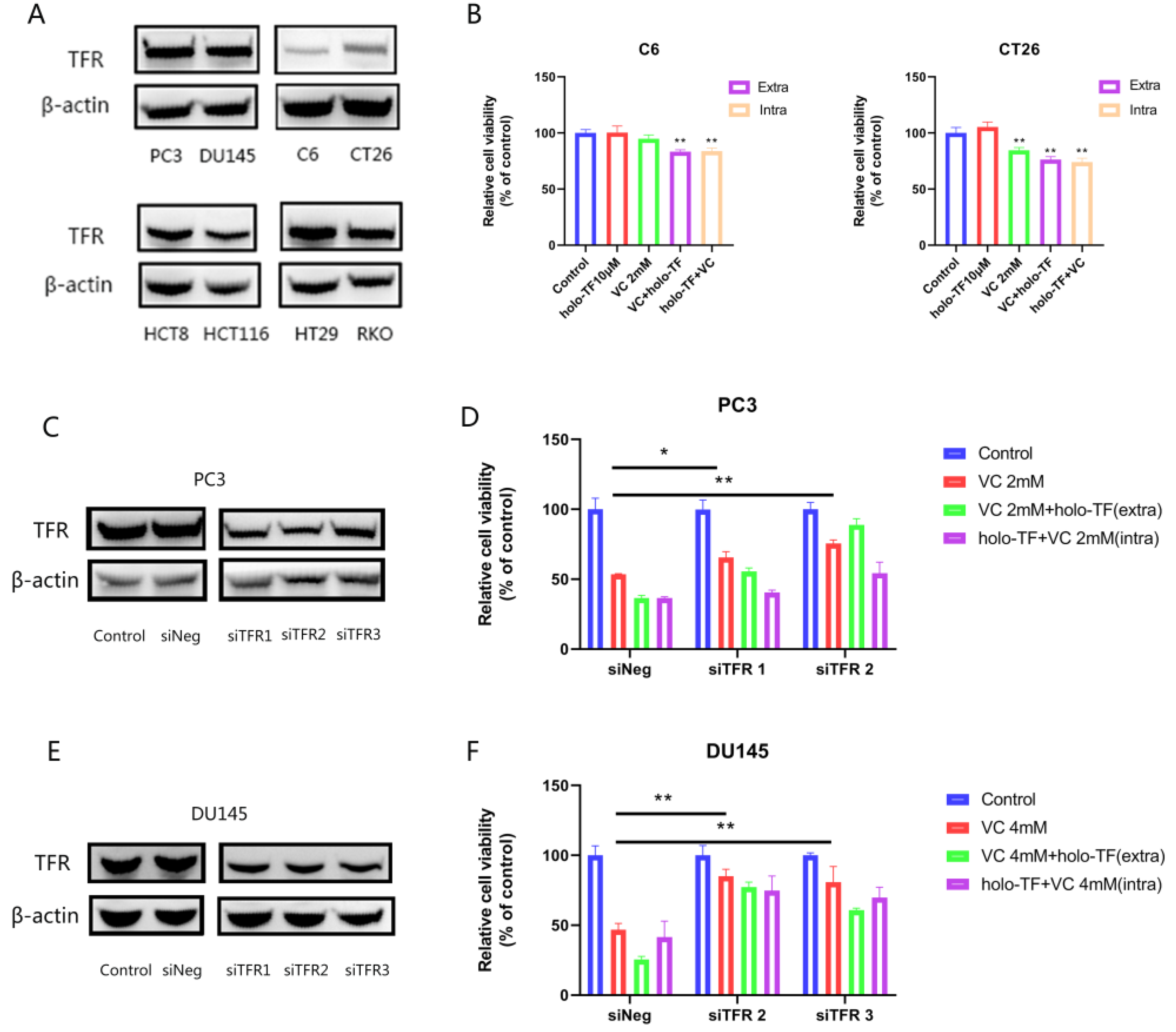 Cancers 14 04507 g005 Cancers 14 04507 g005