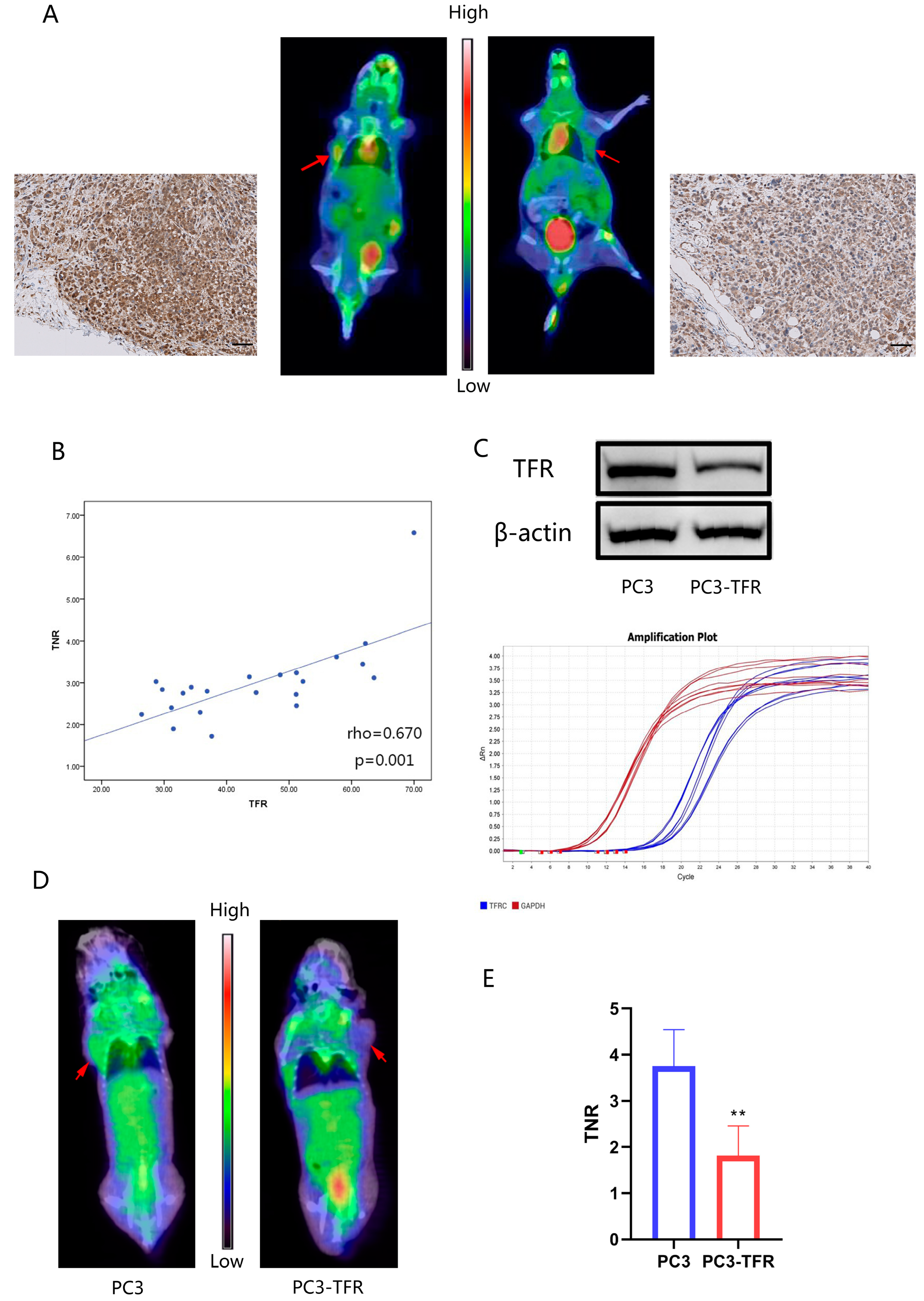 Cancers 14 04507 g006 Cancers 14 04507 g006